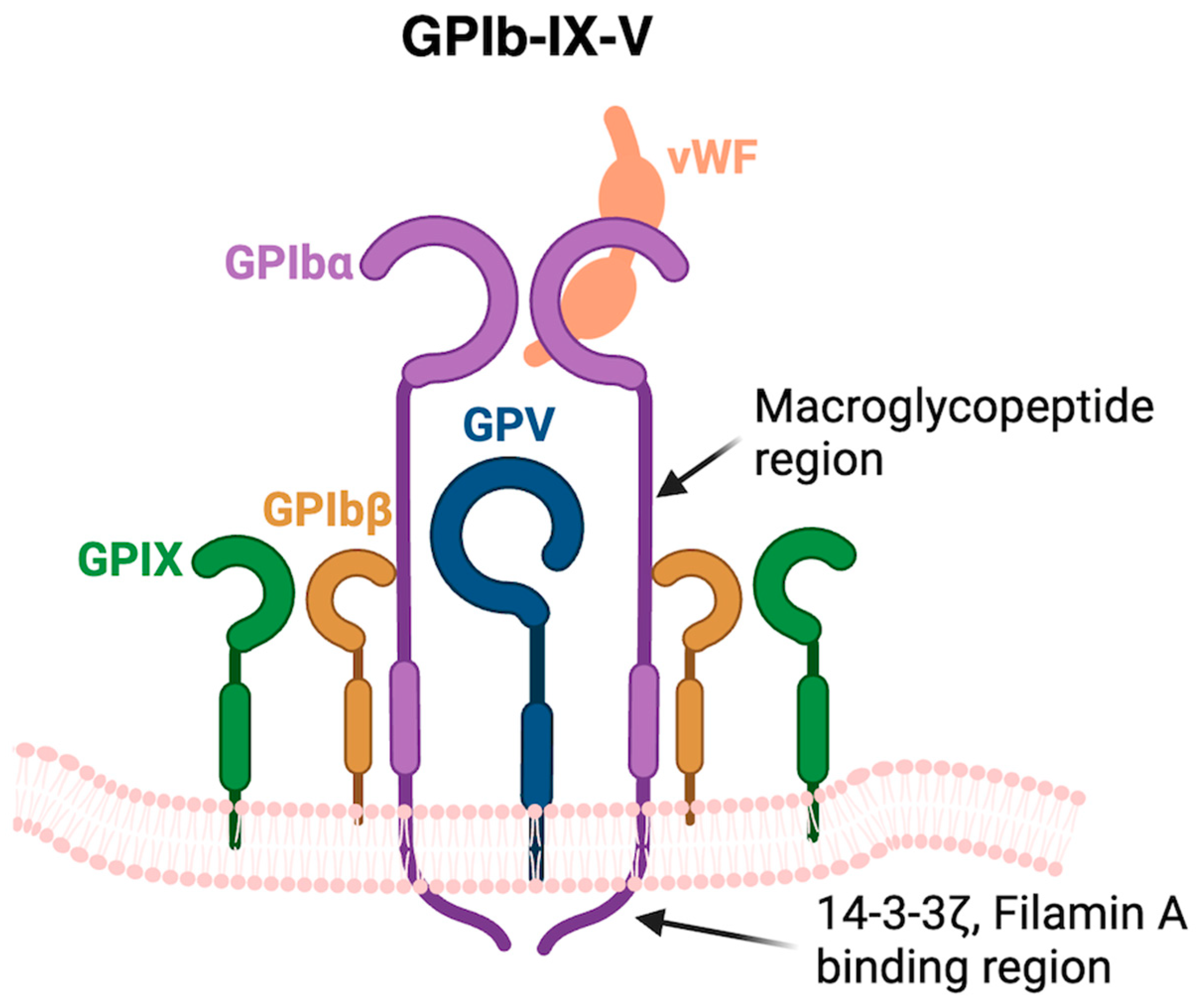 Cimb 46 00709 g001 Cimb 46 00709 g001