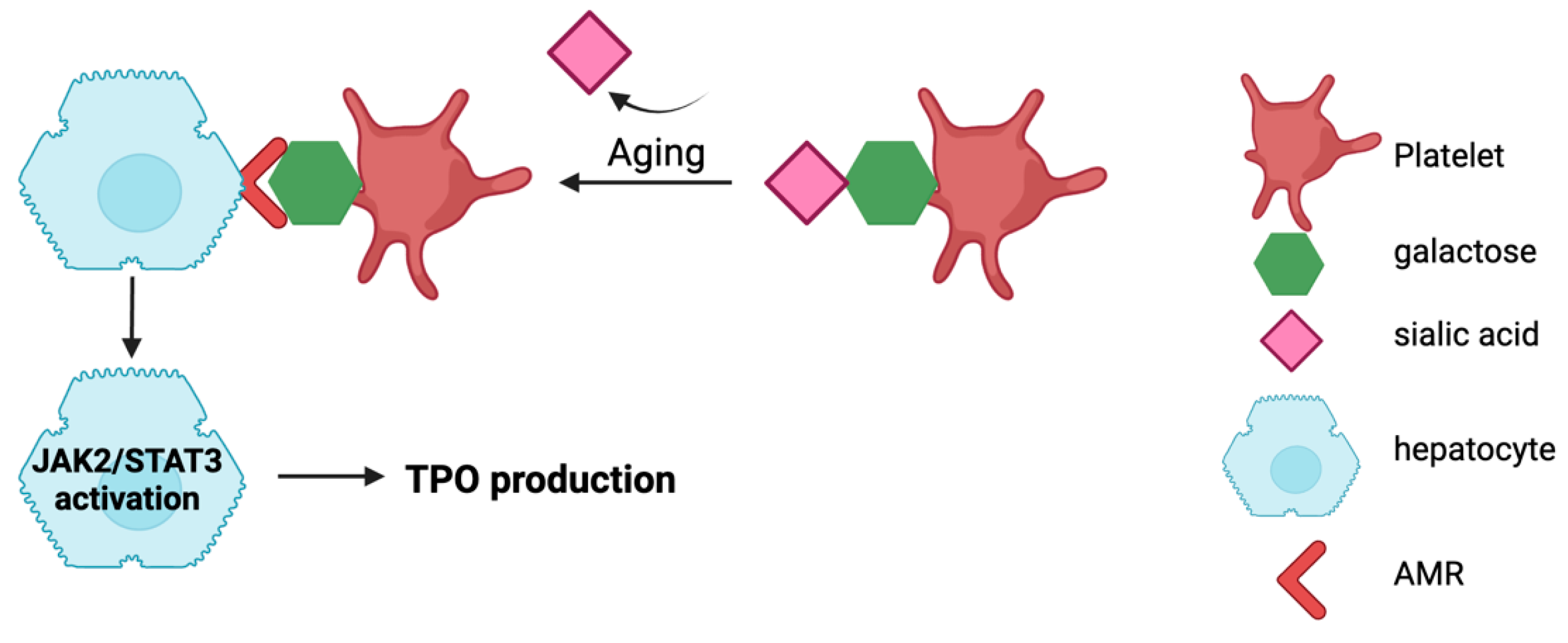 Cimb 46 00709 g002 Cimb 46 00709 g002