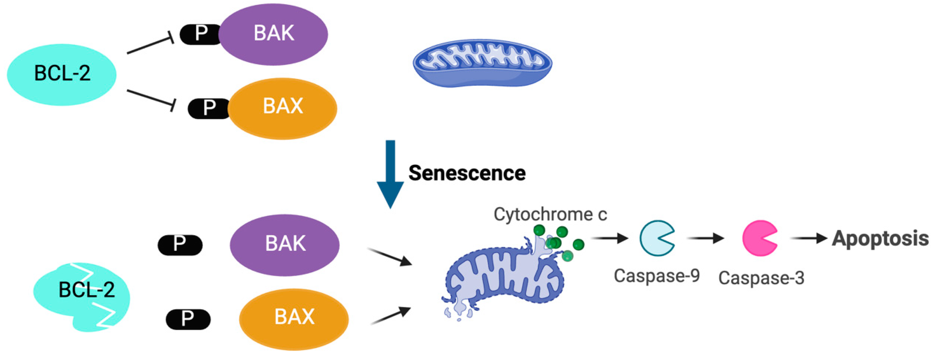 Cimb 46 00709 g003 Cimb 46 00709 g003