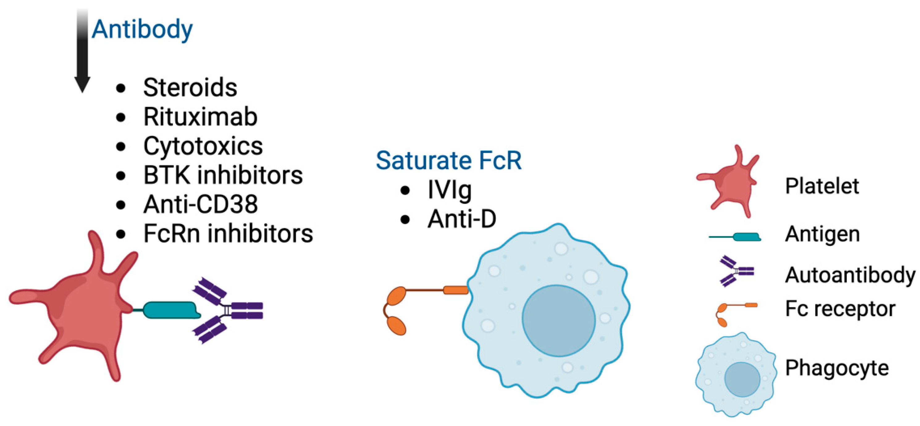 Cimb 46 00709 g004 Cimb 46 00709 g004