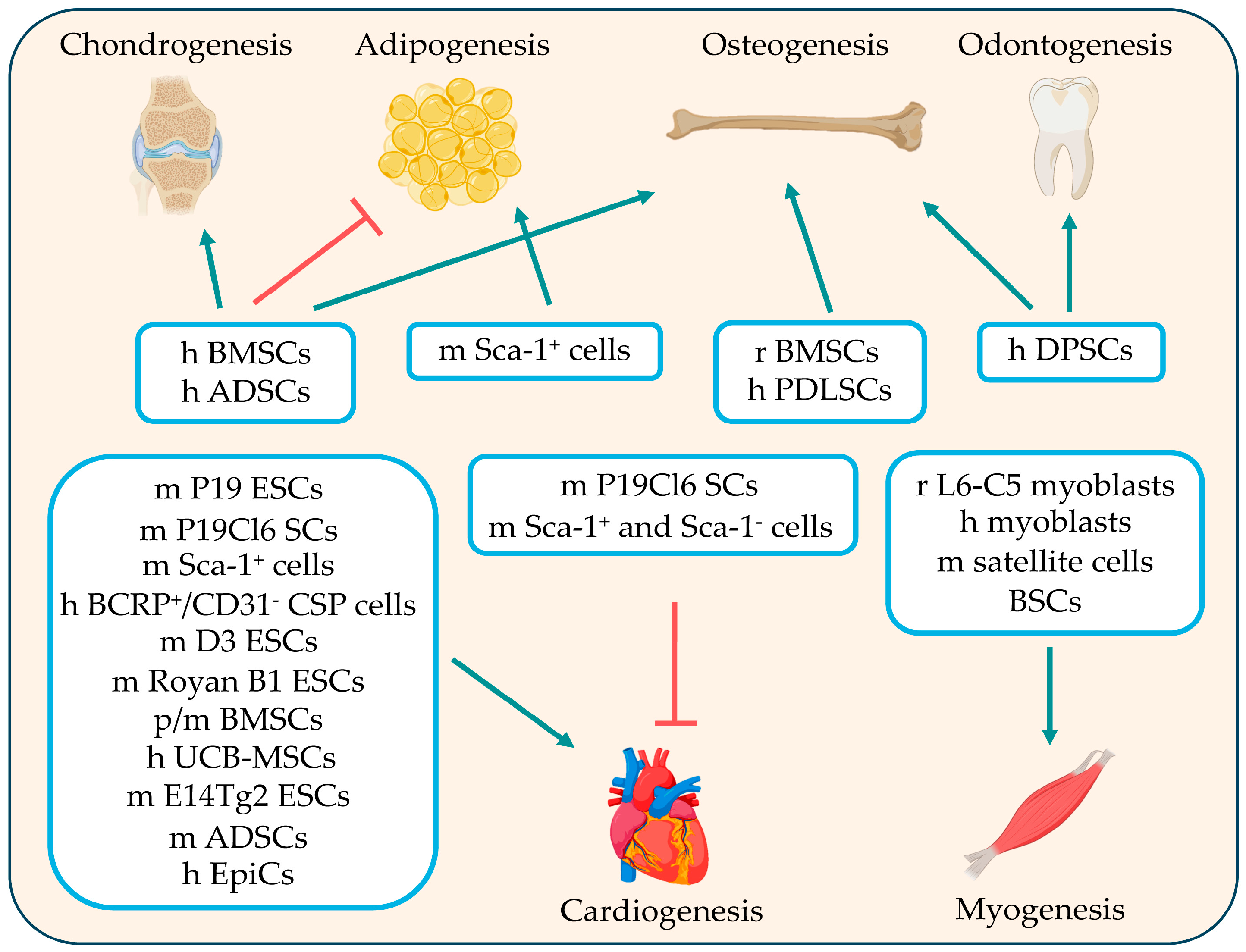 Cimb 46 00713 g003 Cimb 46 00713 g003