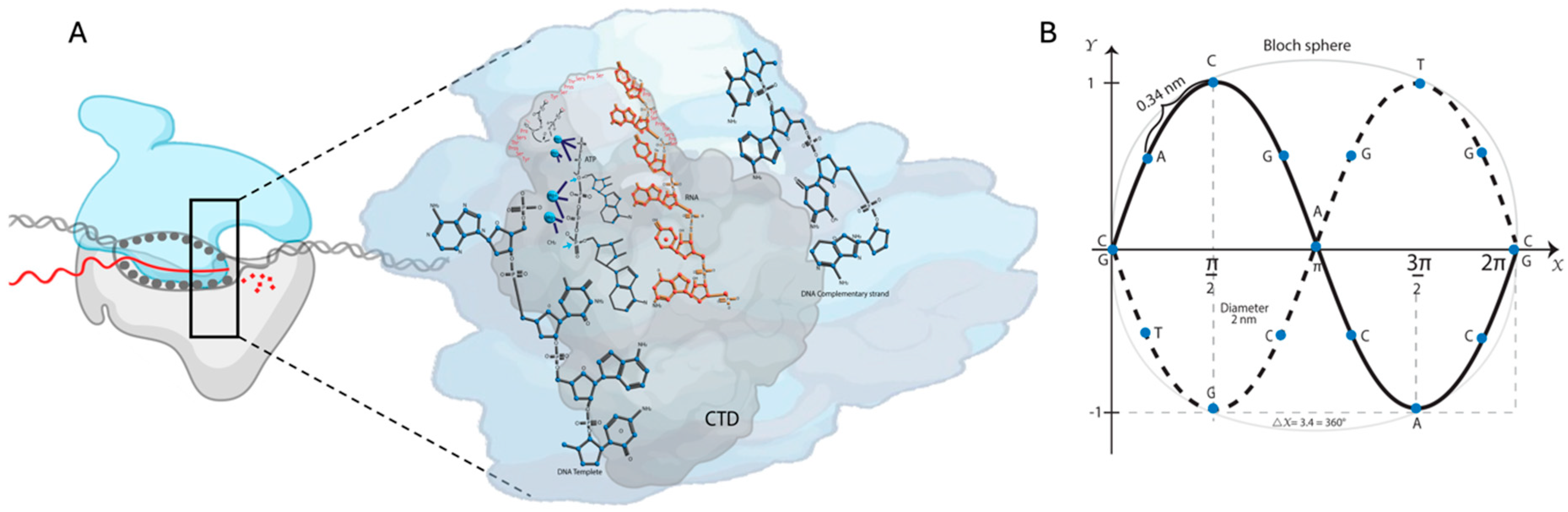 Cimb 46 00721 g001 Cimb 46 00721 g001
