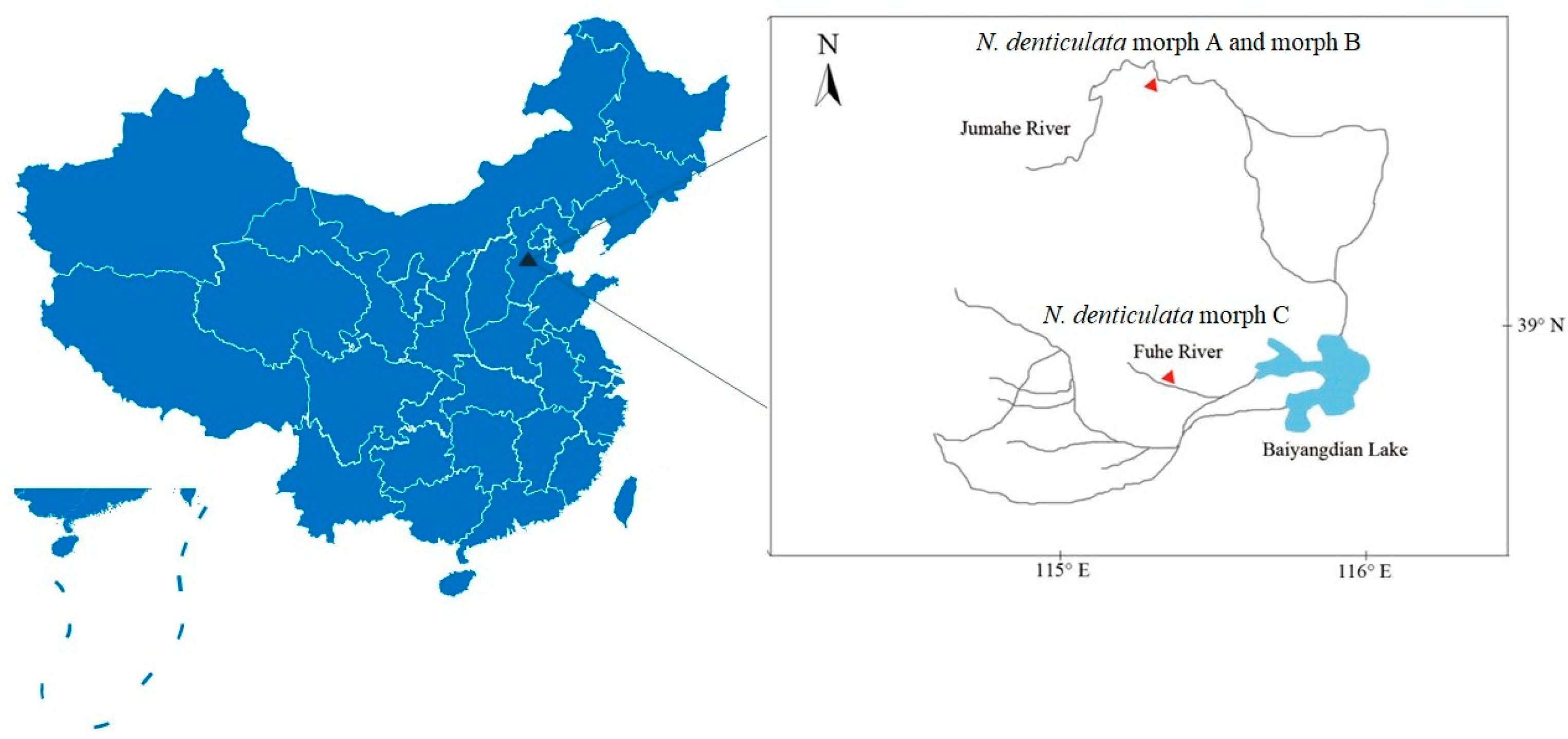 Cimb 46 00729 g001 Cimb 46 00729 g001