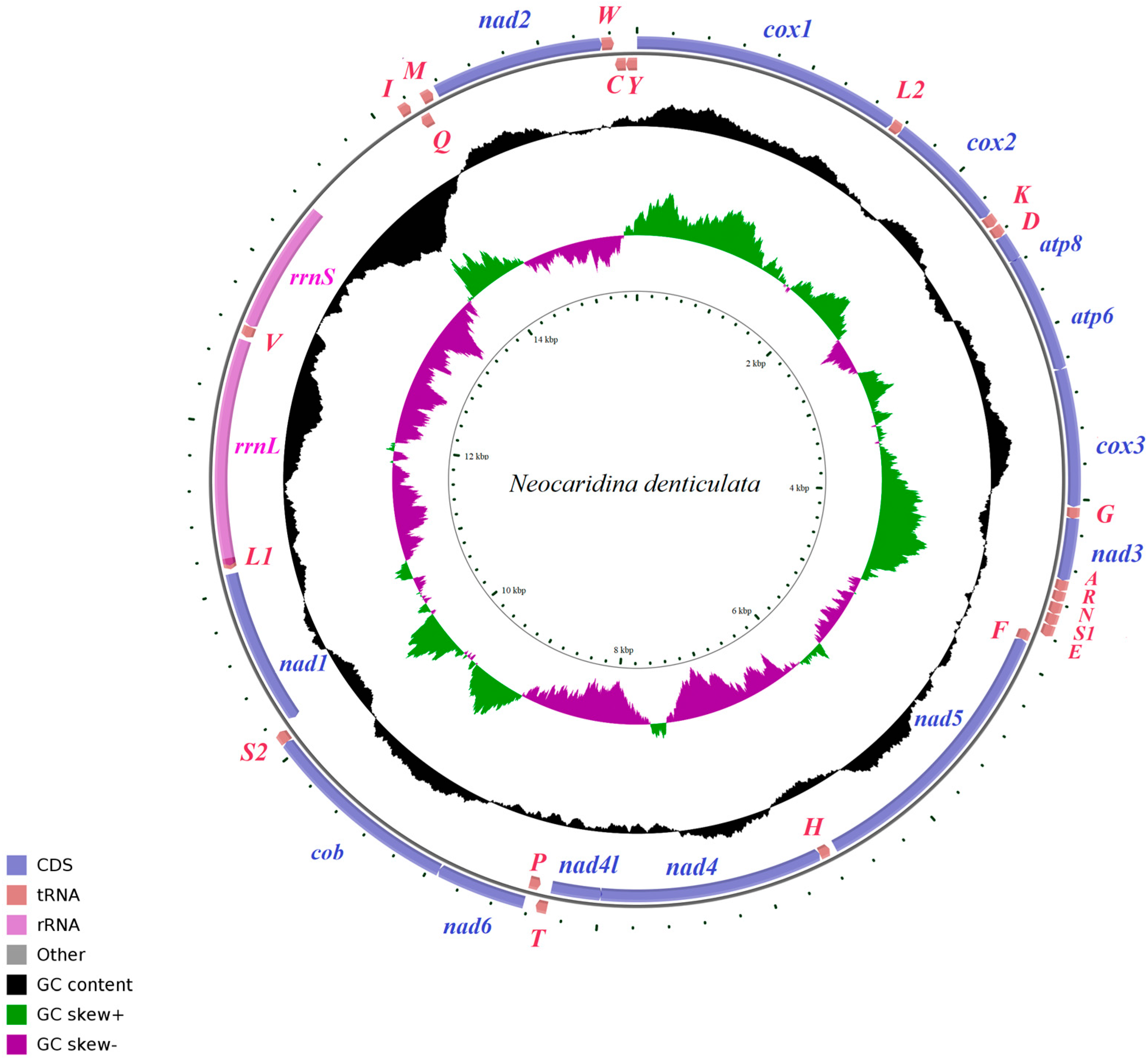 Cimb 46 00729 g003 Cimb 46 00729 g003