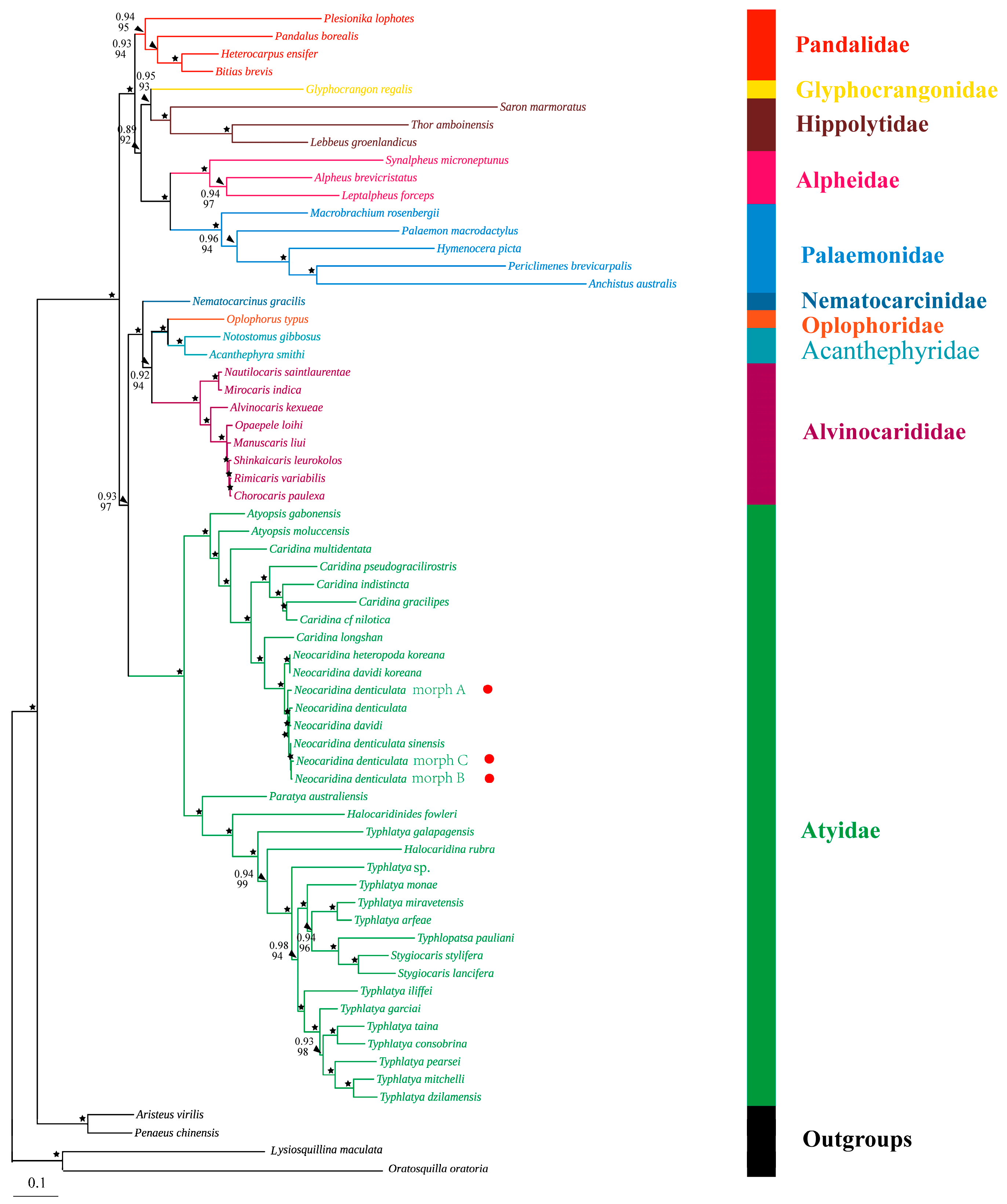 Cimb 46 00729 g008 Cimb 46 00729 g008