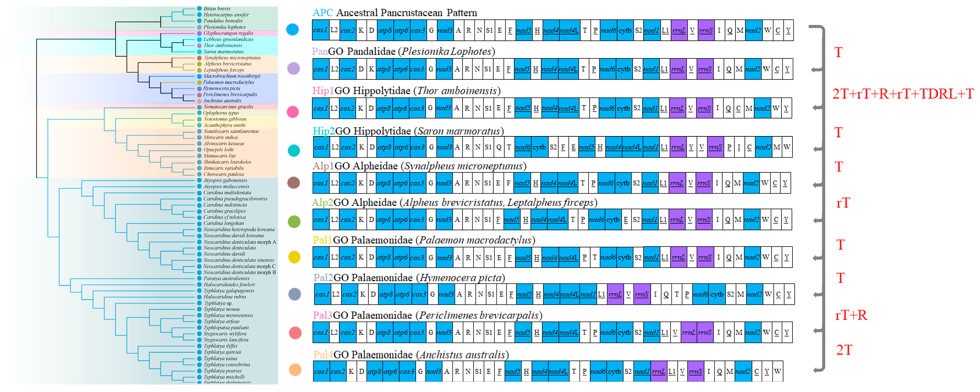 Cimb 46 00729 g010 Cimb 46 00729 g010