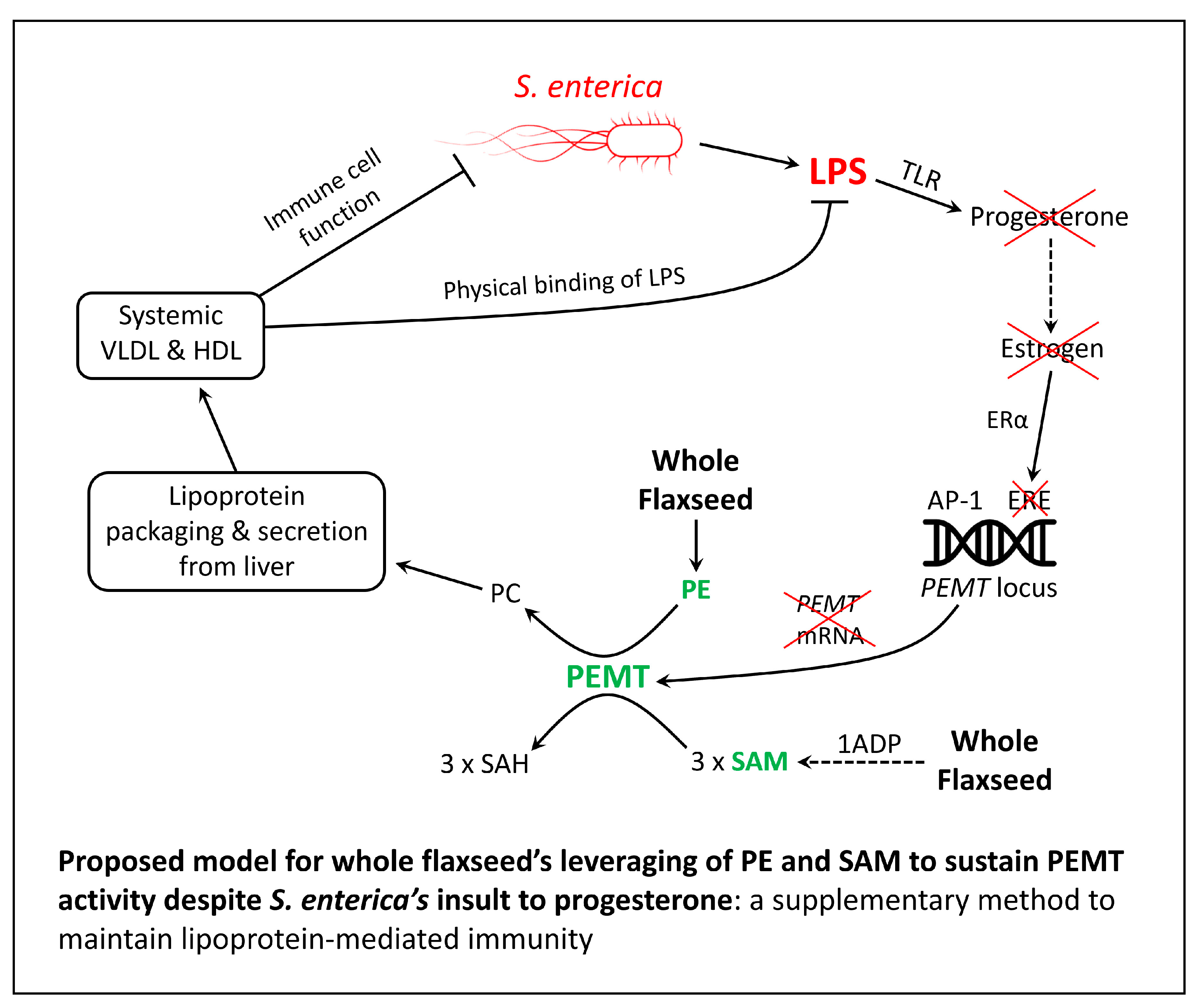 Cimb 46 00732 g003 Cimb 46 00732 g003