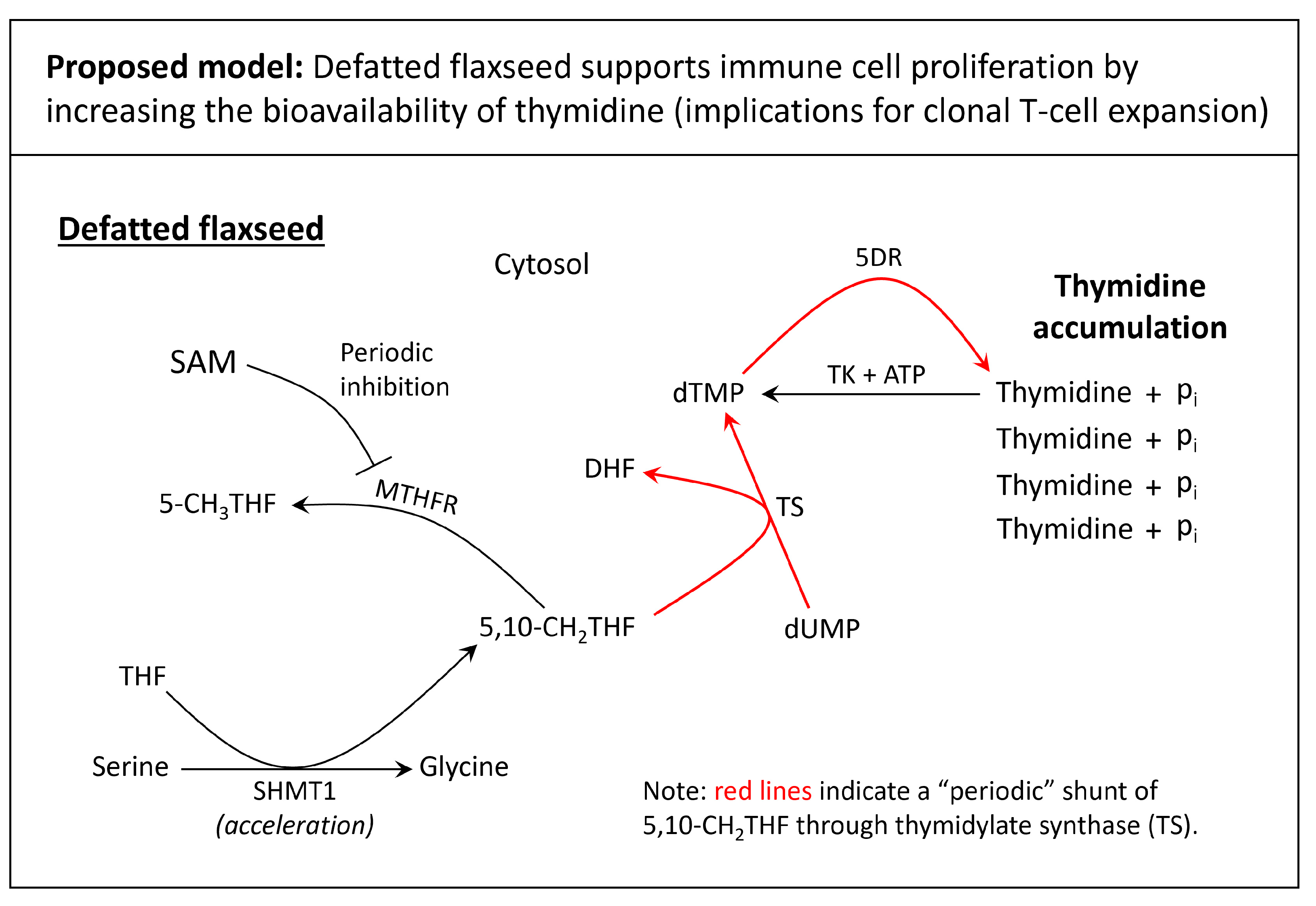 Cimb 46 00732 g004 Cimb 46 00732 g004