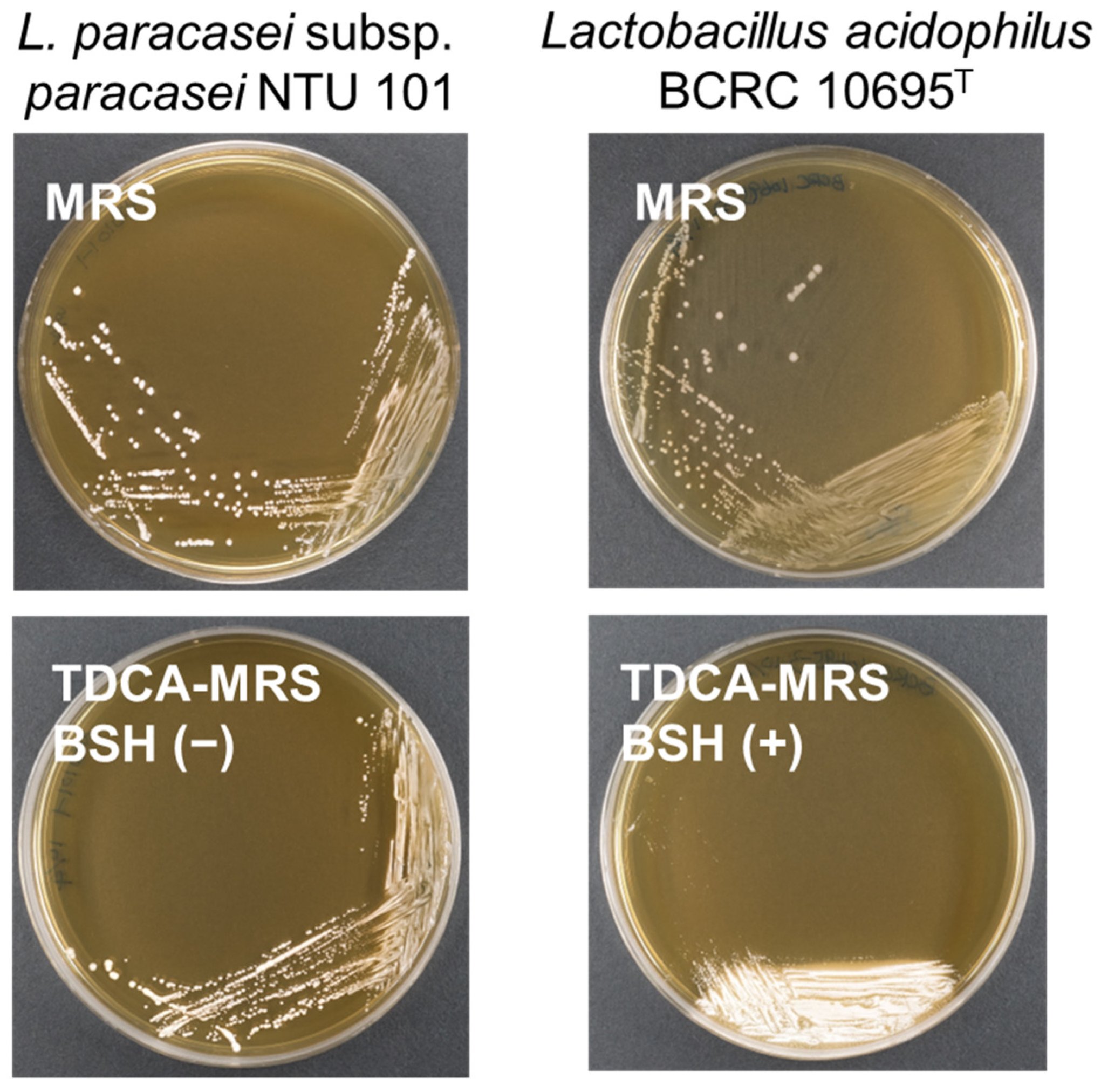 Cimb 46 00734 g003 Cimb 46 00734 g003