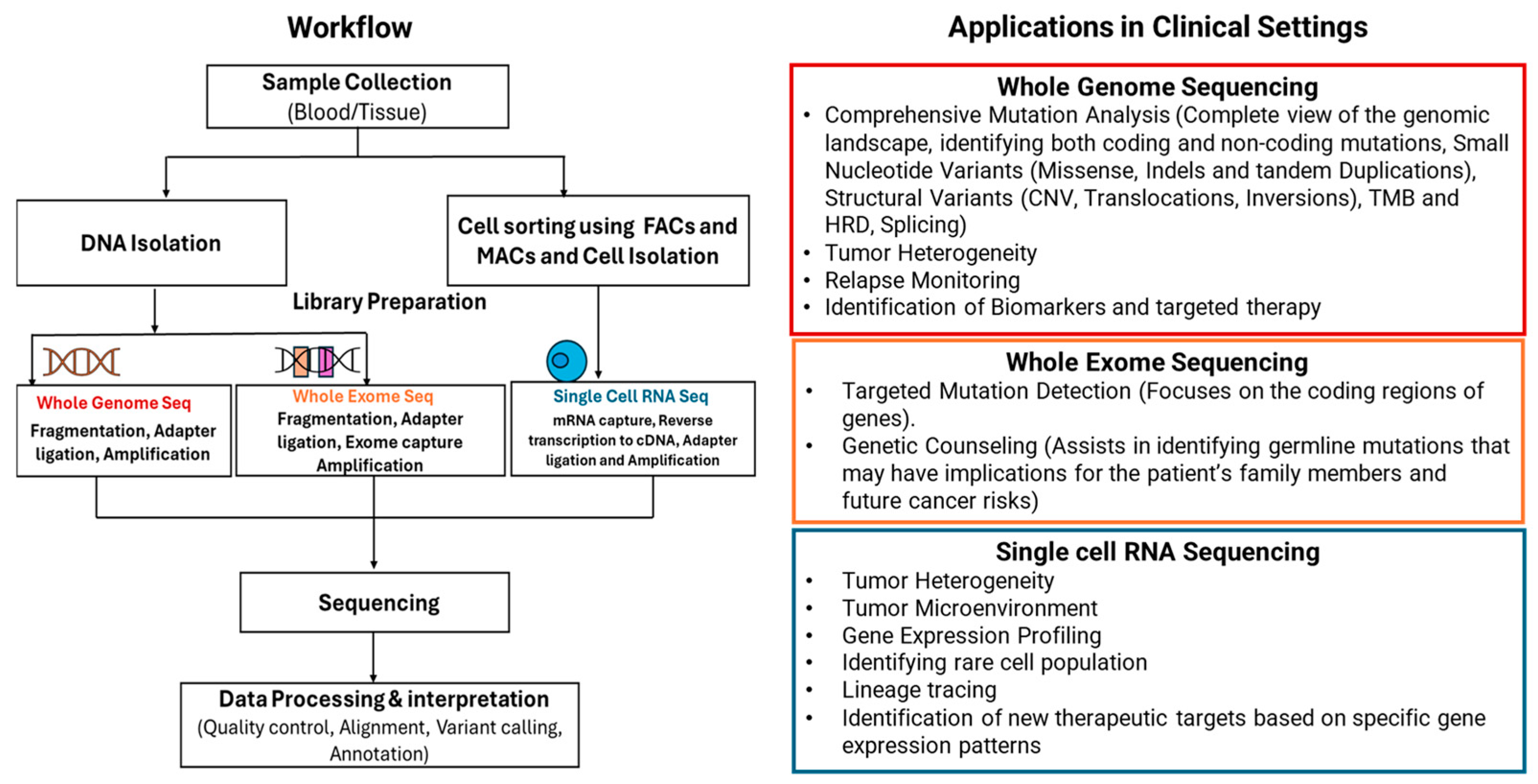 Cimb 46 00744 g001 Cimb 46 00744 g001