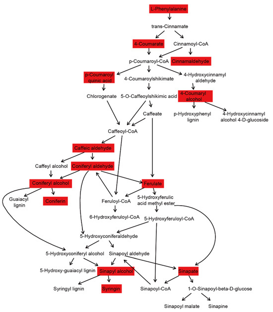 Identification of Primary Metabolite Profiles Reveals Quality