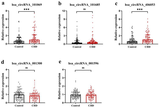 Construction of Immune-Related circRNA-miRNA-mRNA Network
