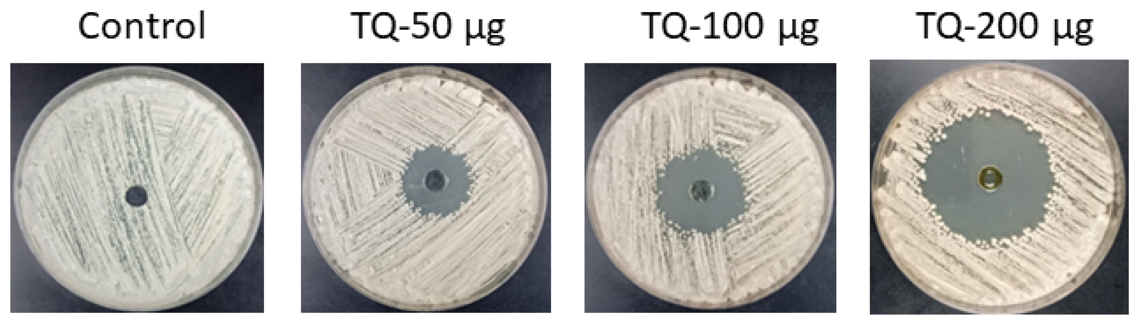 Cimb 46 00771 g005 Cimb 46 00771 g005