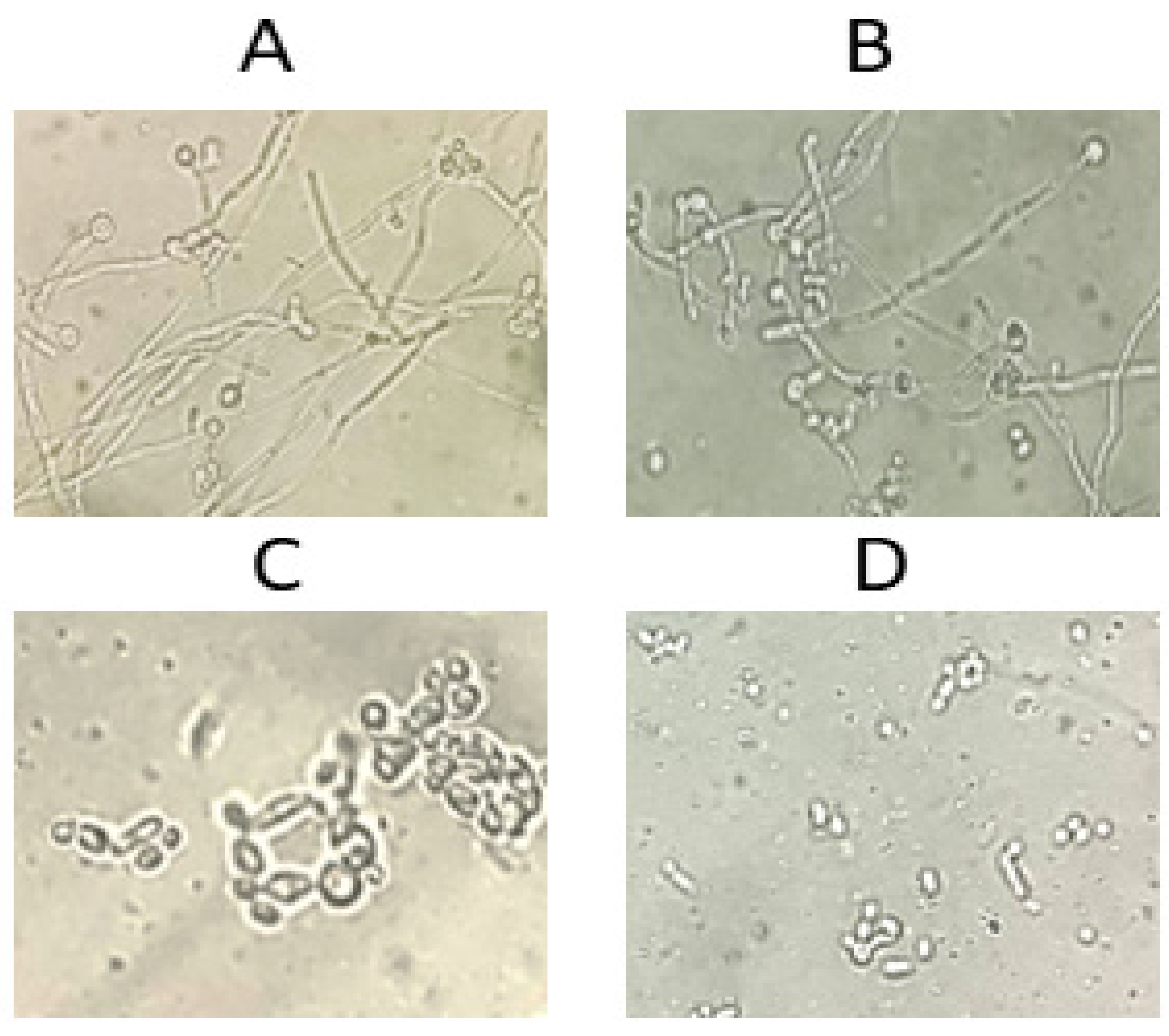 Cimb 46 00771 g008 Cimb 46 00771 g008