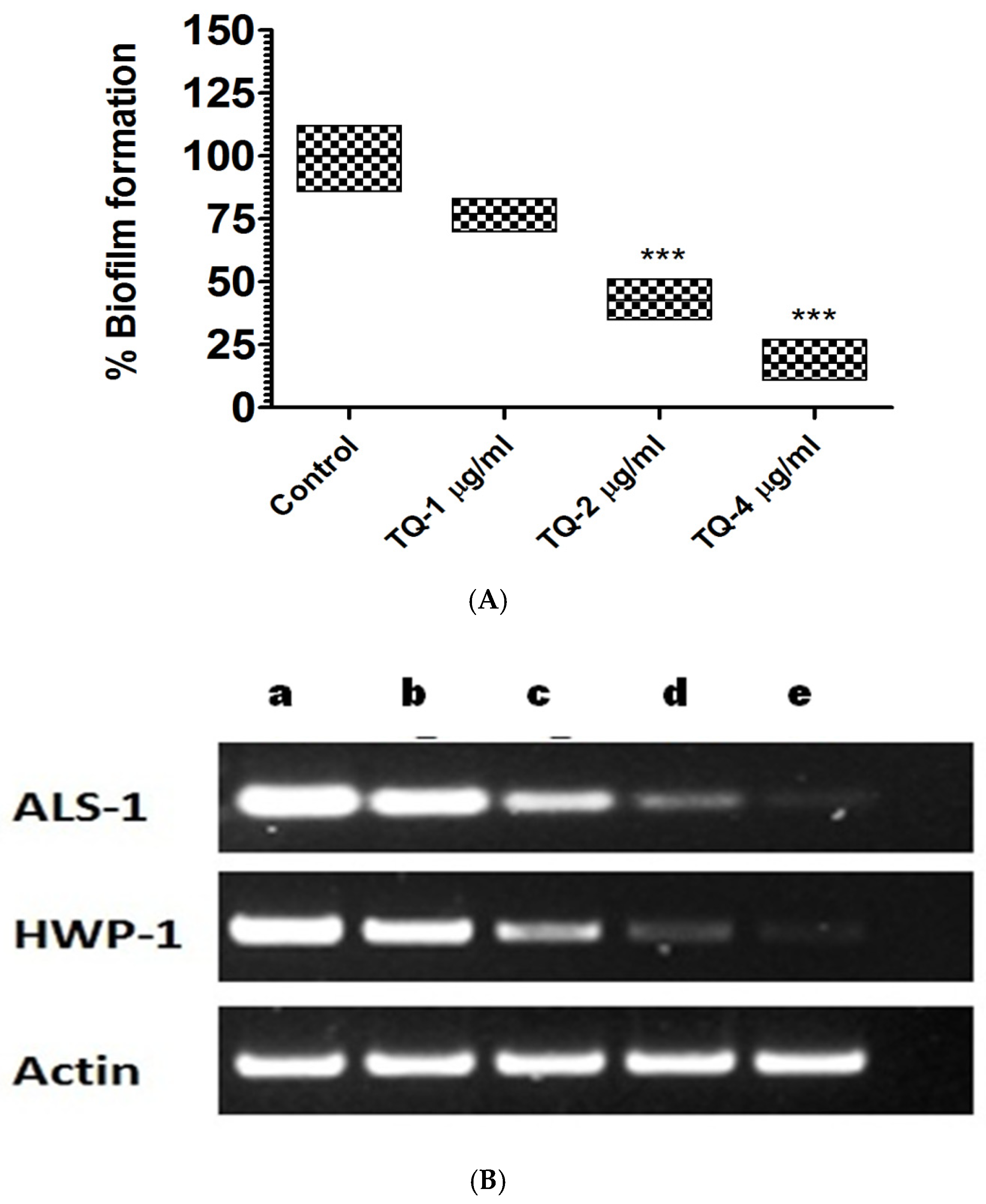 Cimb 46 00771 g009 Cimb 46 00771 g009