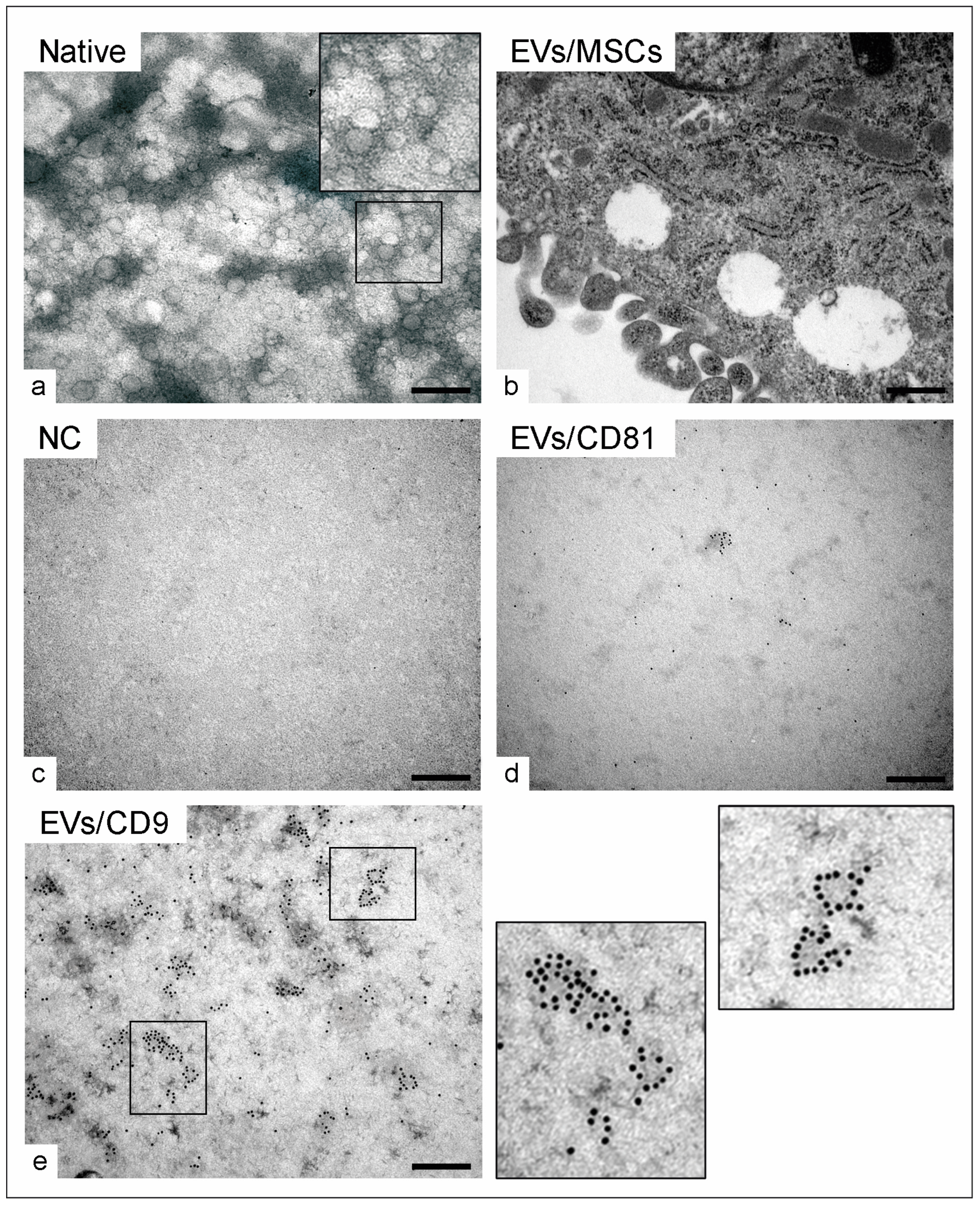 Cimb 46 00780 g002 Cimb 46 00780 g002