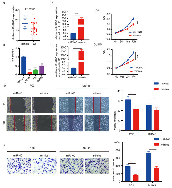 miR-5100 Overexpression Inhibits Prostate Cancer Progression