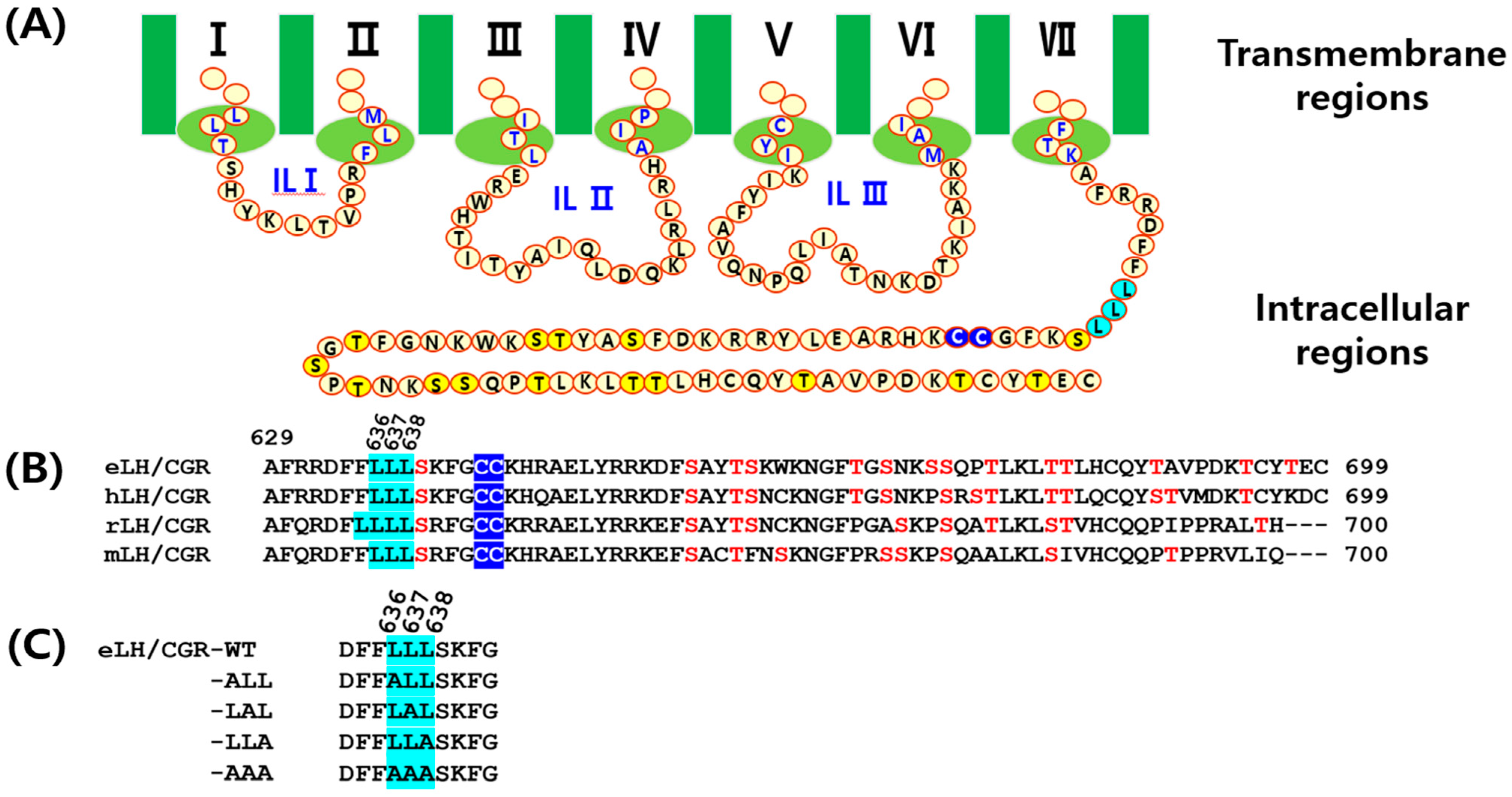Cimb 46 00786 g001 Cimb 46 00786 g001