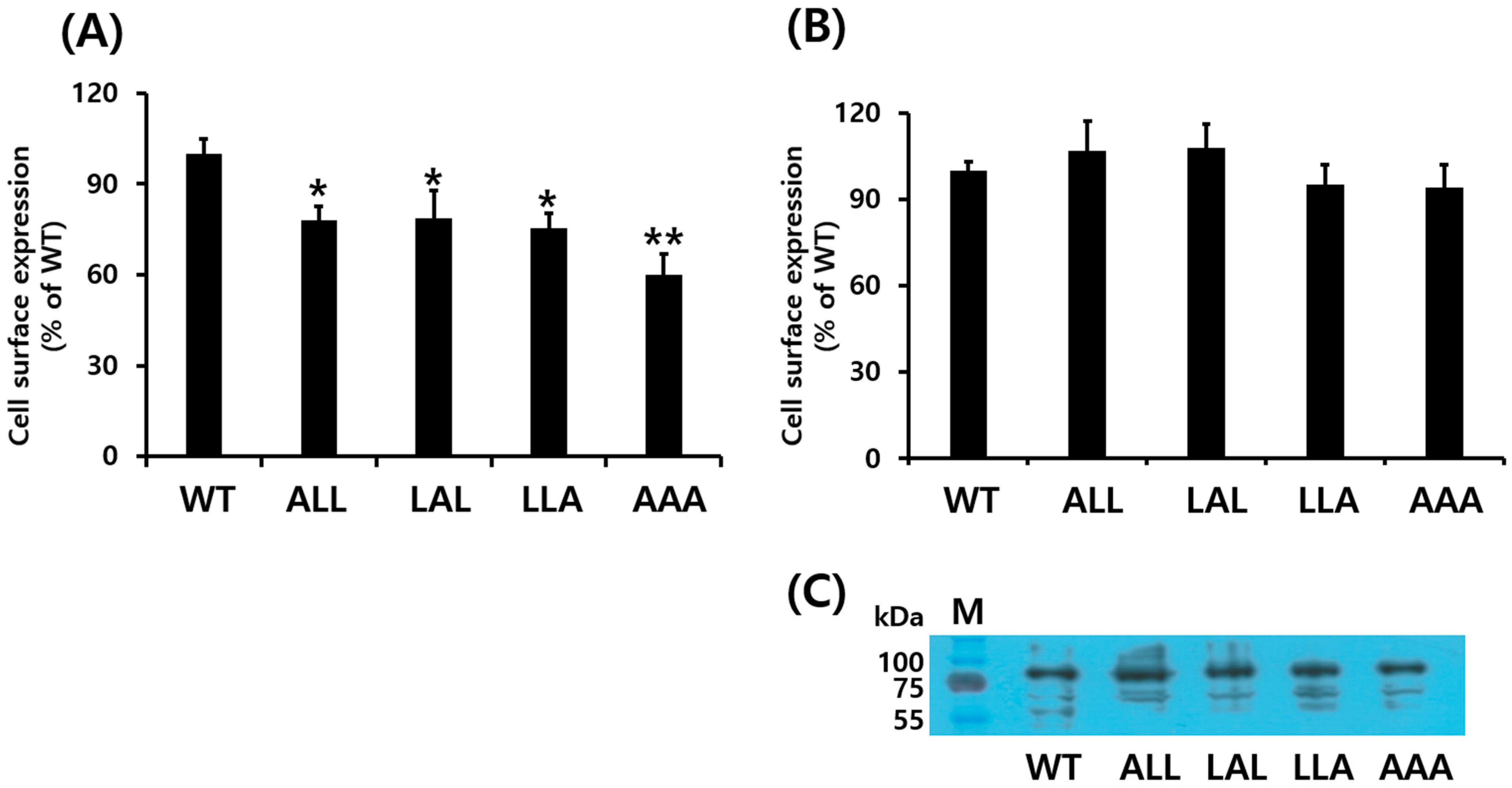 Cimb 46 00786 g002 Cimb 46 00786 g002