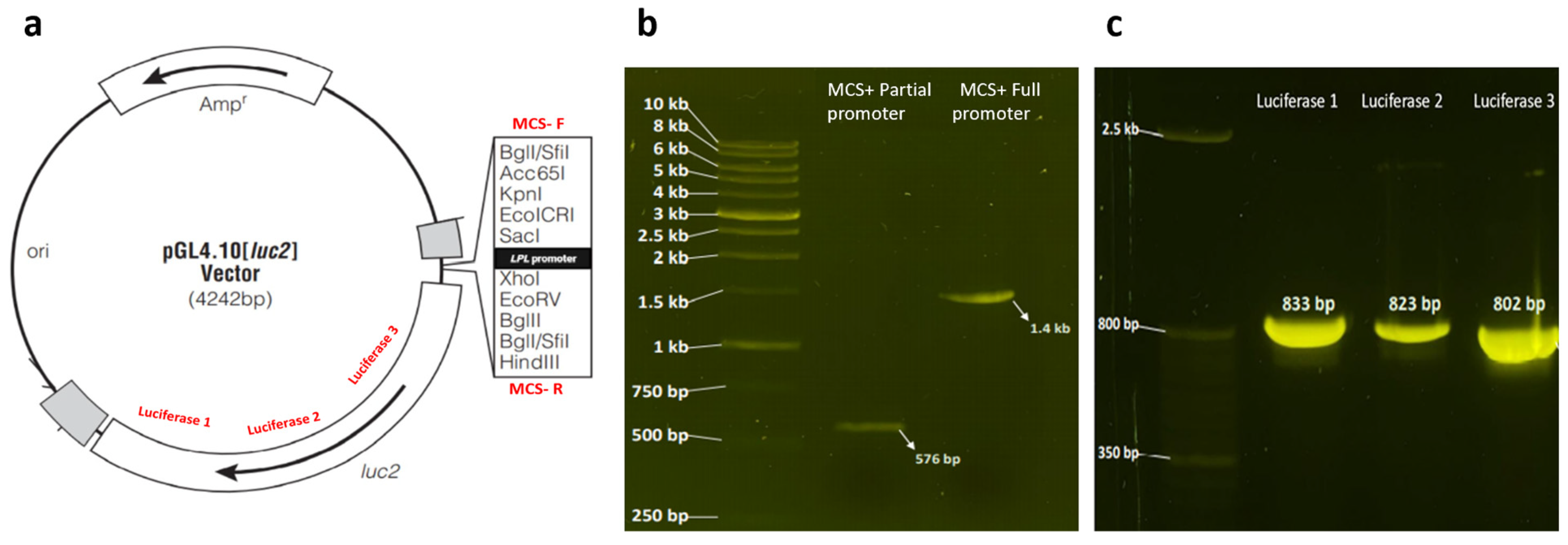Cimb 46 00788 g004 Cimb 46 00788 g004