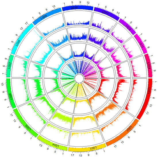Genome-Wide Development of InDel-SSRs and Association Analysis of