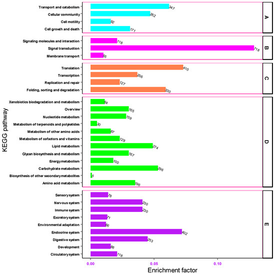 A Comprehensive Transcriptomic and Proteomics Analysis of