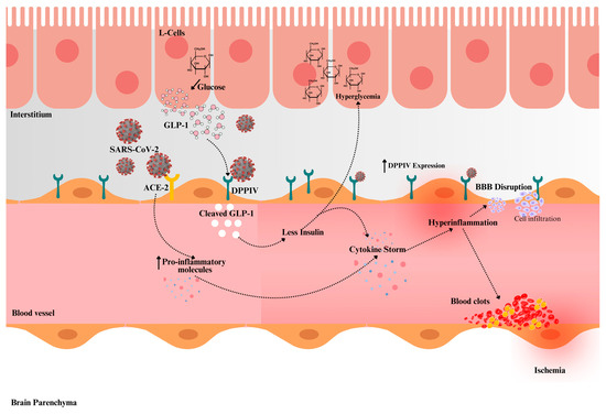 Neurological Sequelae of Post-COVID-19 Fatigue: A Narrative Review of Dipeptidyl Peptidase IV-Mediated Cerebrovascular Complications Neurological Sequelae of Post-COVID-19 Fatigue: A Narrative Review of Dipeptidyl Peptidase IV-Mediated Cerebrovascular Complications