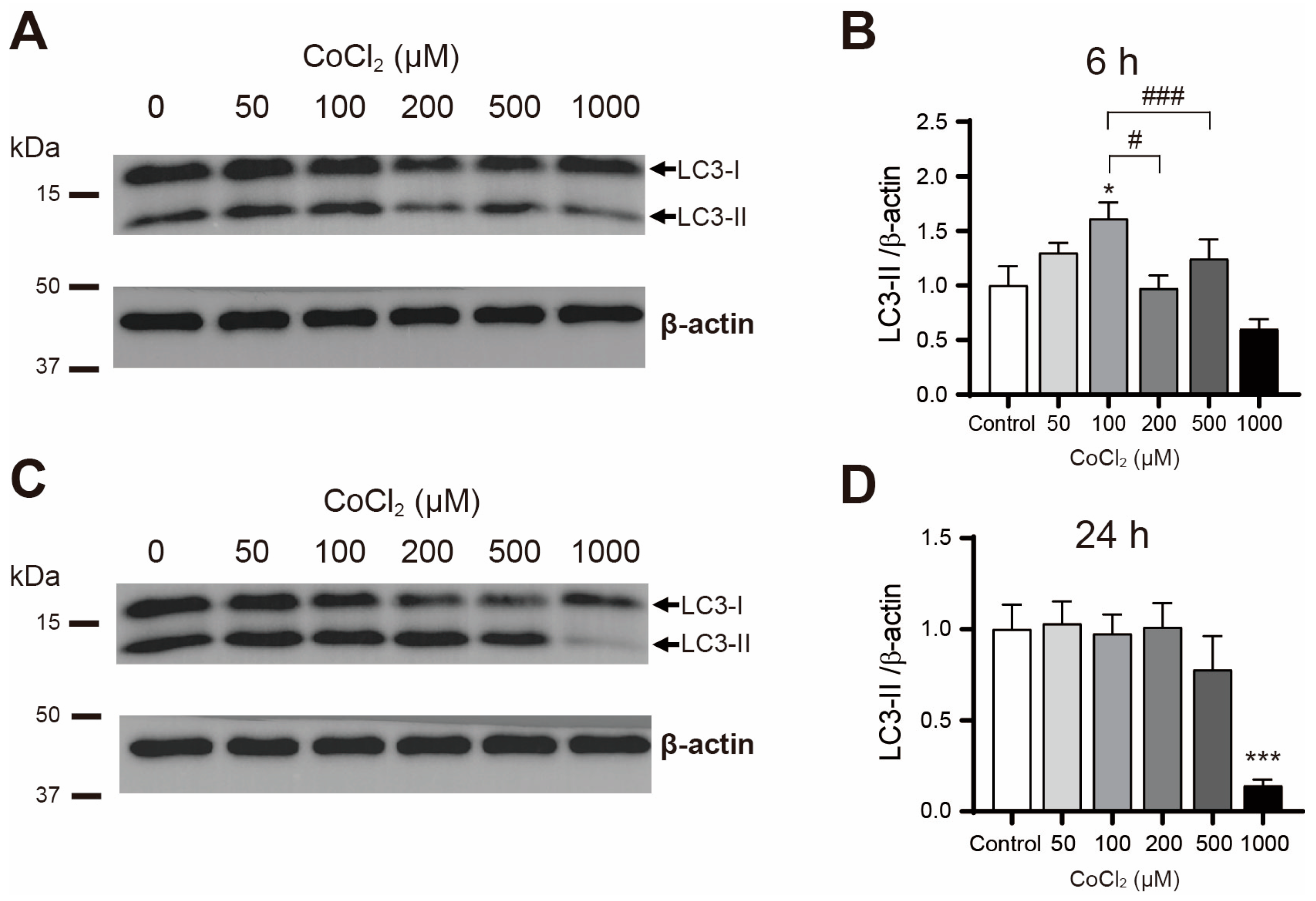 Cimb 46 00813 g002 Cimb 46 00813 g002