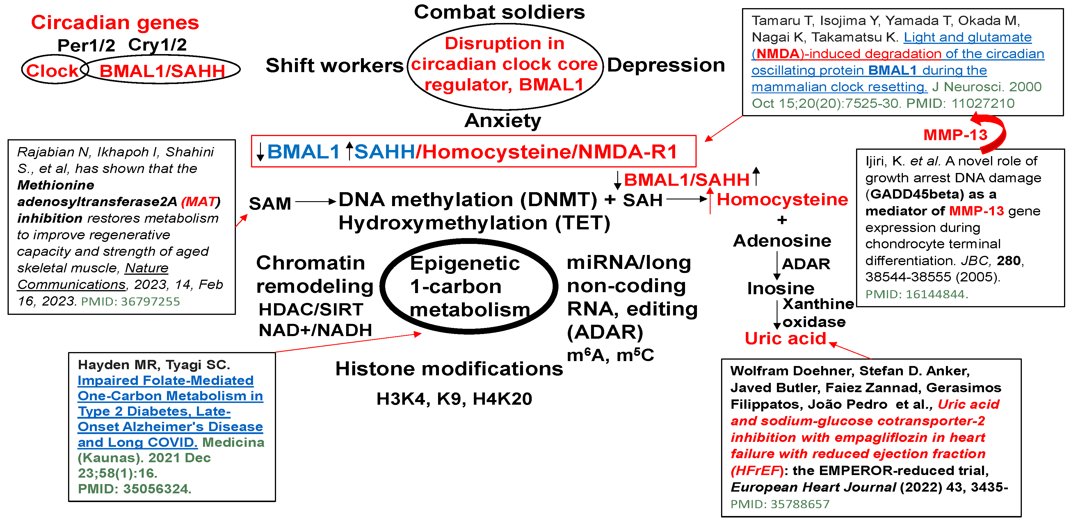 Cimb 46 00824 g001 Cimb 46 00824 g001