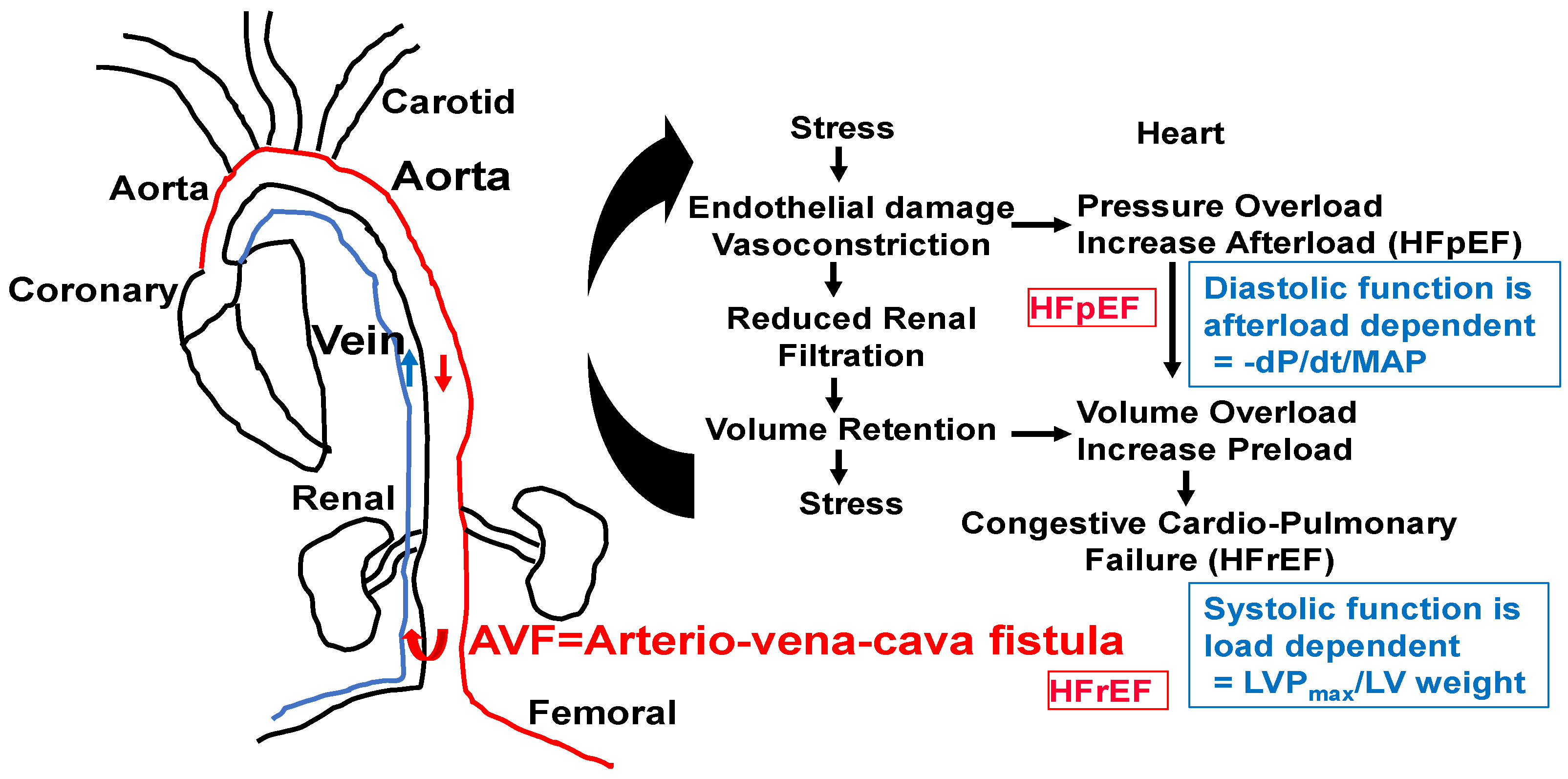 Cimb 46 00824 g005 Cimb 46 00824 g005