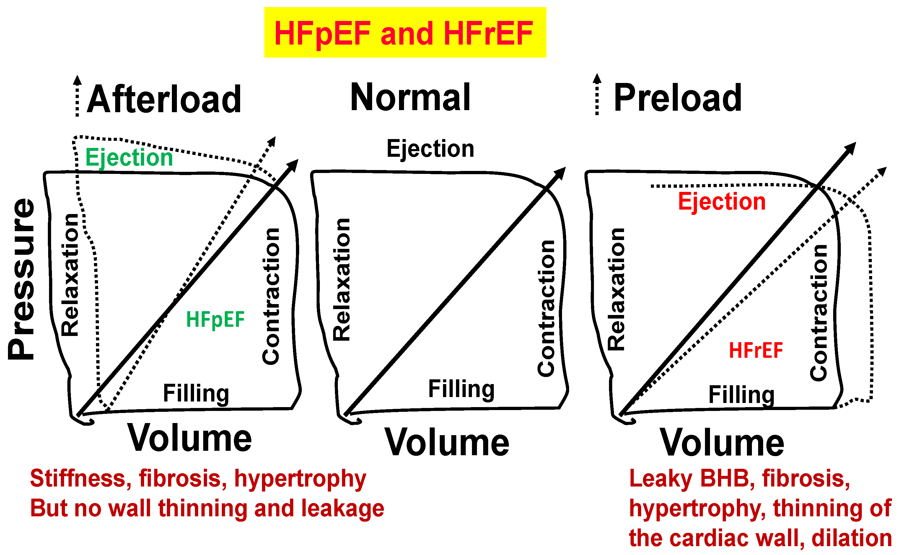 Cimb 46 00824 g006 Cimb 46 00824 g006