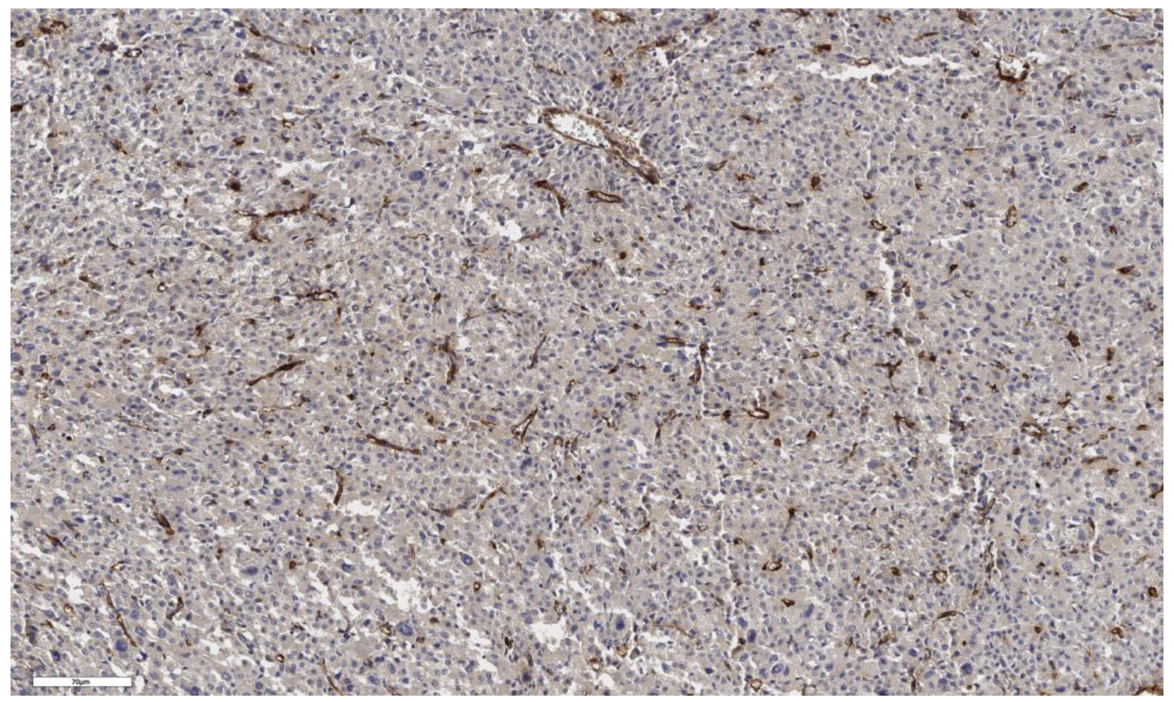 Cimb 46 00825 g002 Cimb 46 00825 g002