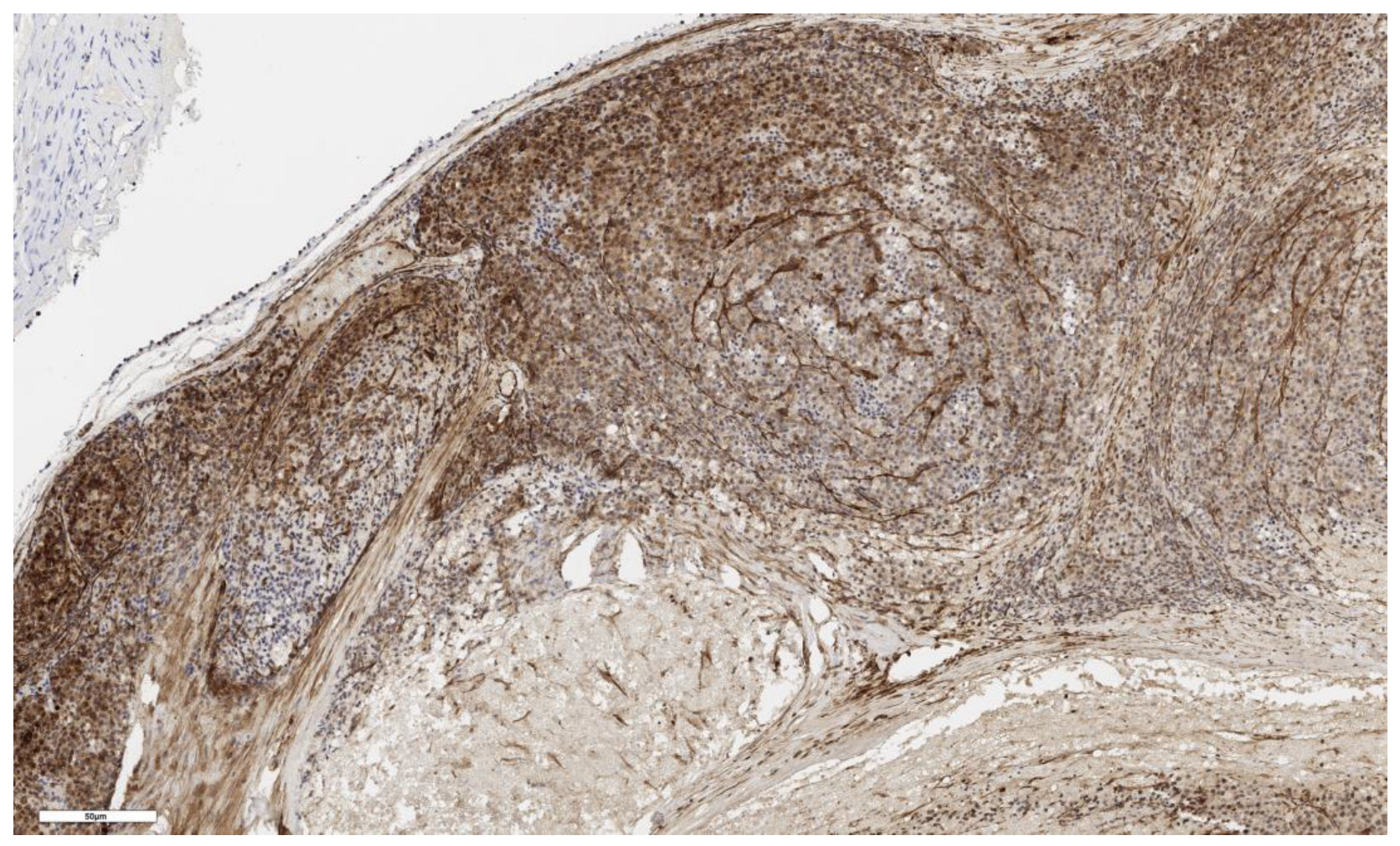 Cimb 46 00825 g003 Cimb 46 00825 g003