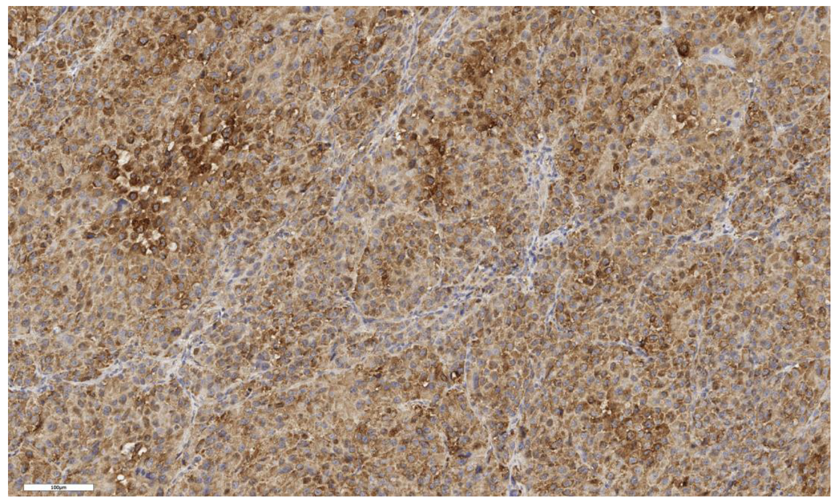 Cimb 46 00825 g007 Cimb 46 00825 g007