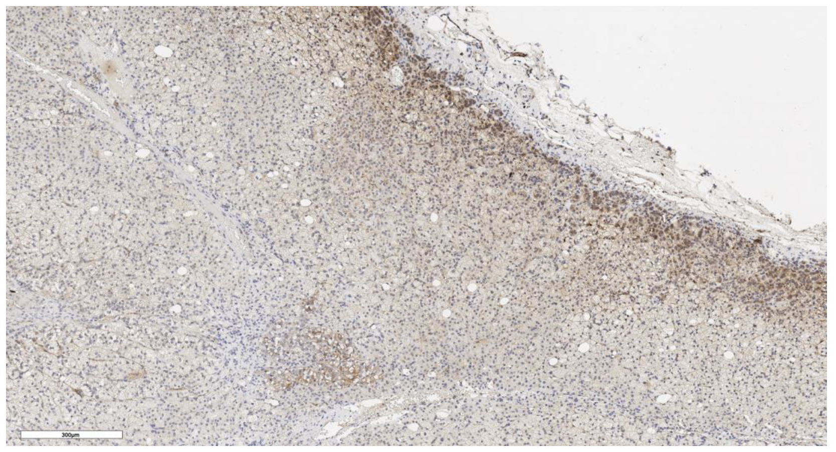 Cimb 46 00825 g010 Cimb 46 00825 g010