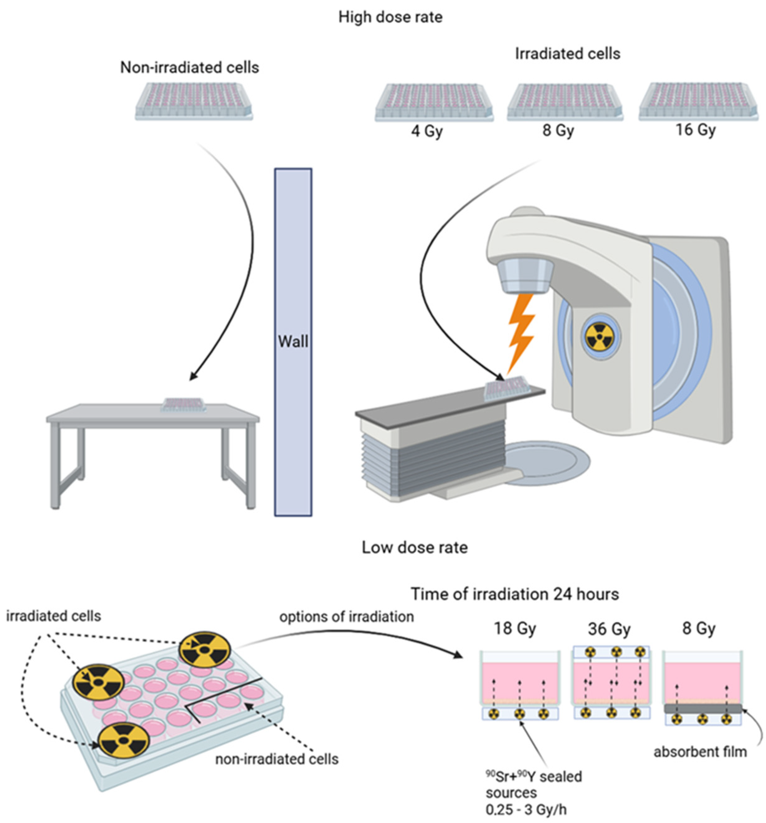 Cimb 46 00828 g001 Cimb 46 00828 g001