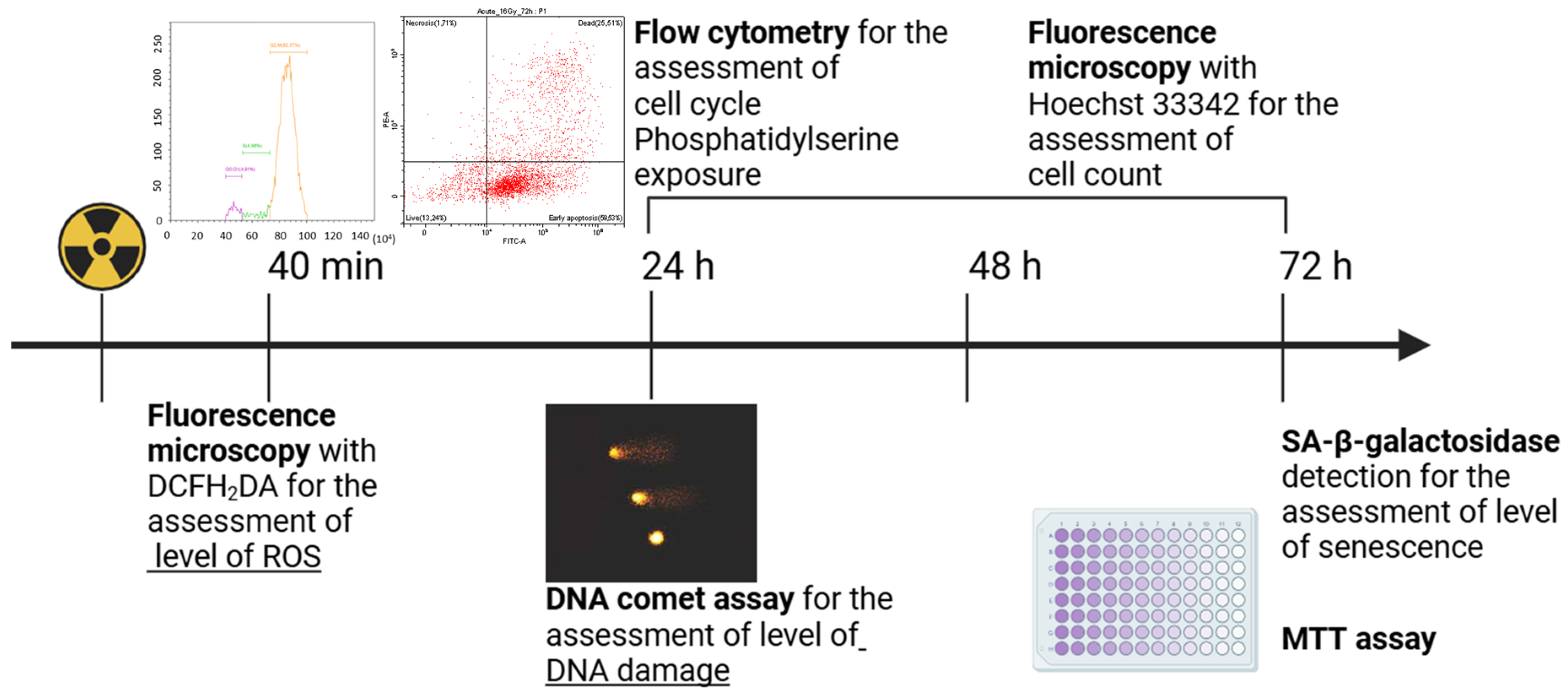 Cimb 46 00828 g002 Cimb 46 00828 g002