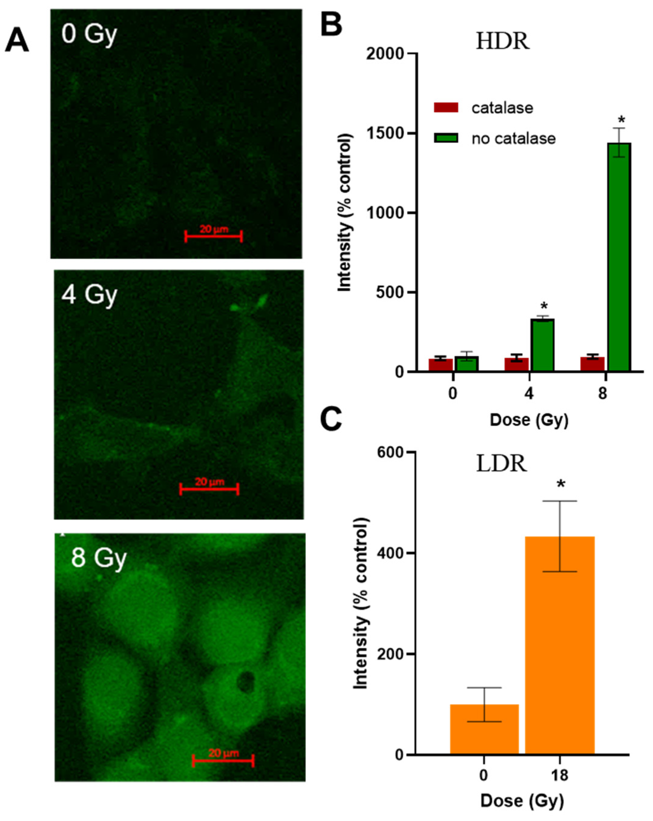 Cimb 46 00828 g006 Cimb 46 00828 g006