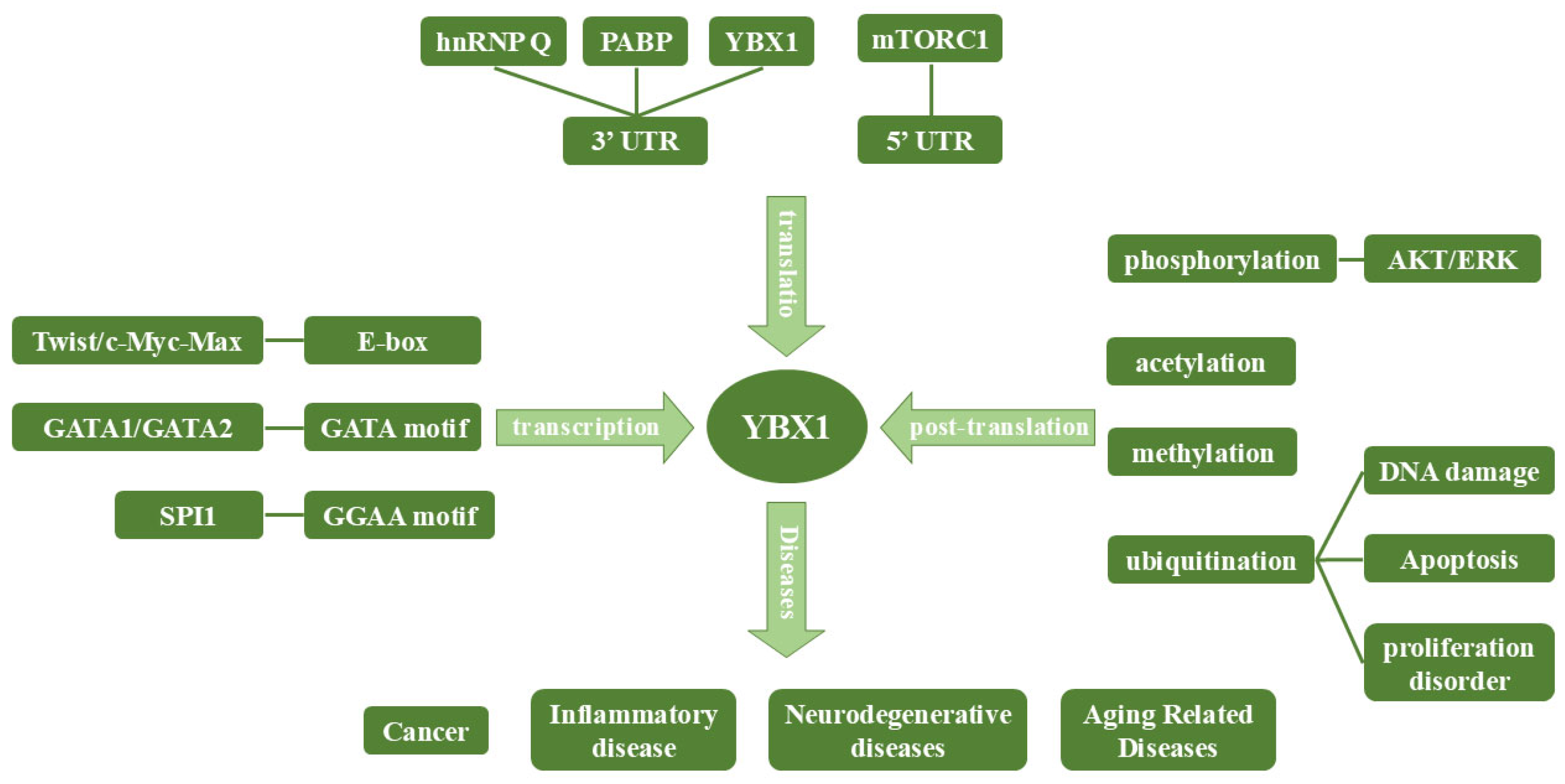 Cimb 46 00841 g003 Cimb 46 00841 g003