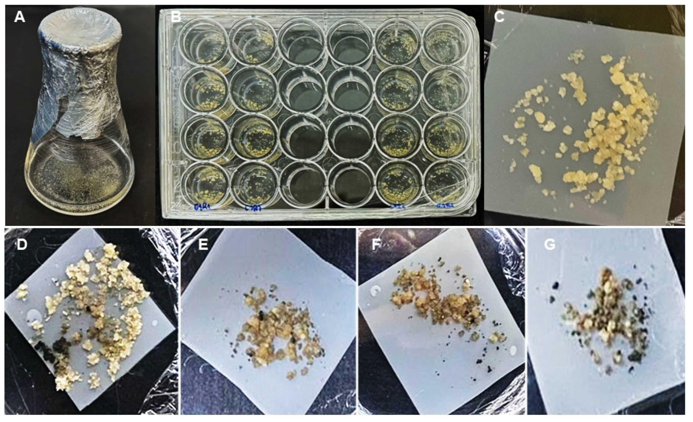 Cimb 46 00865 g006 Cimb 46 00865 g006