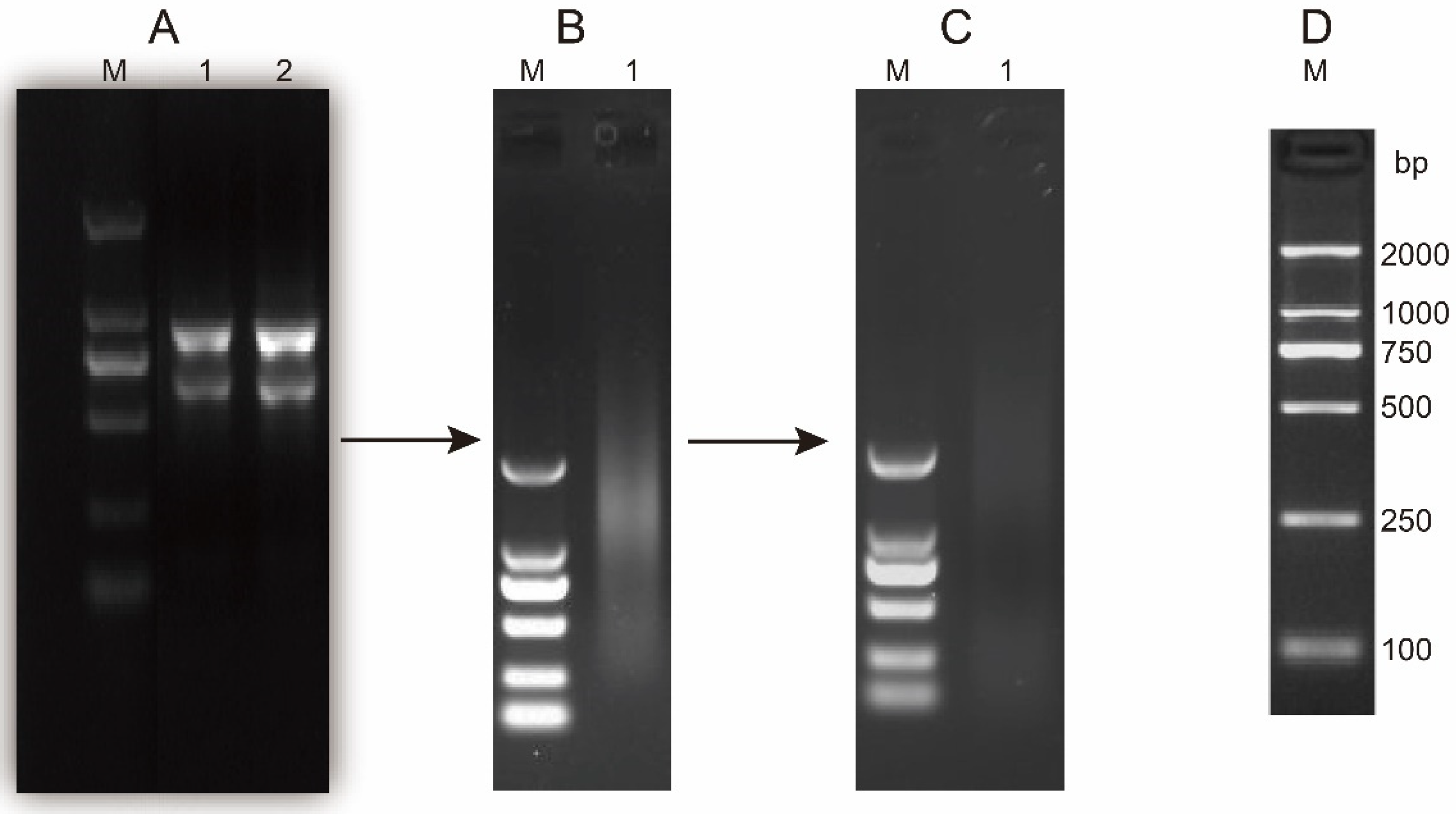 Cimb 47 00015 g001 Cimb 47 00015 g001