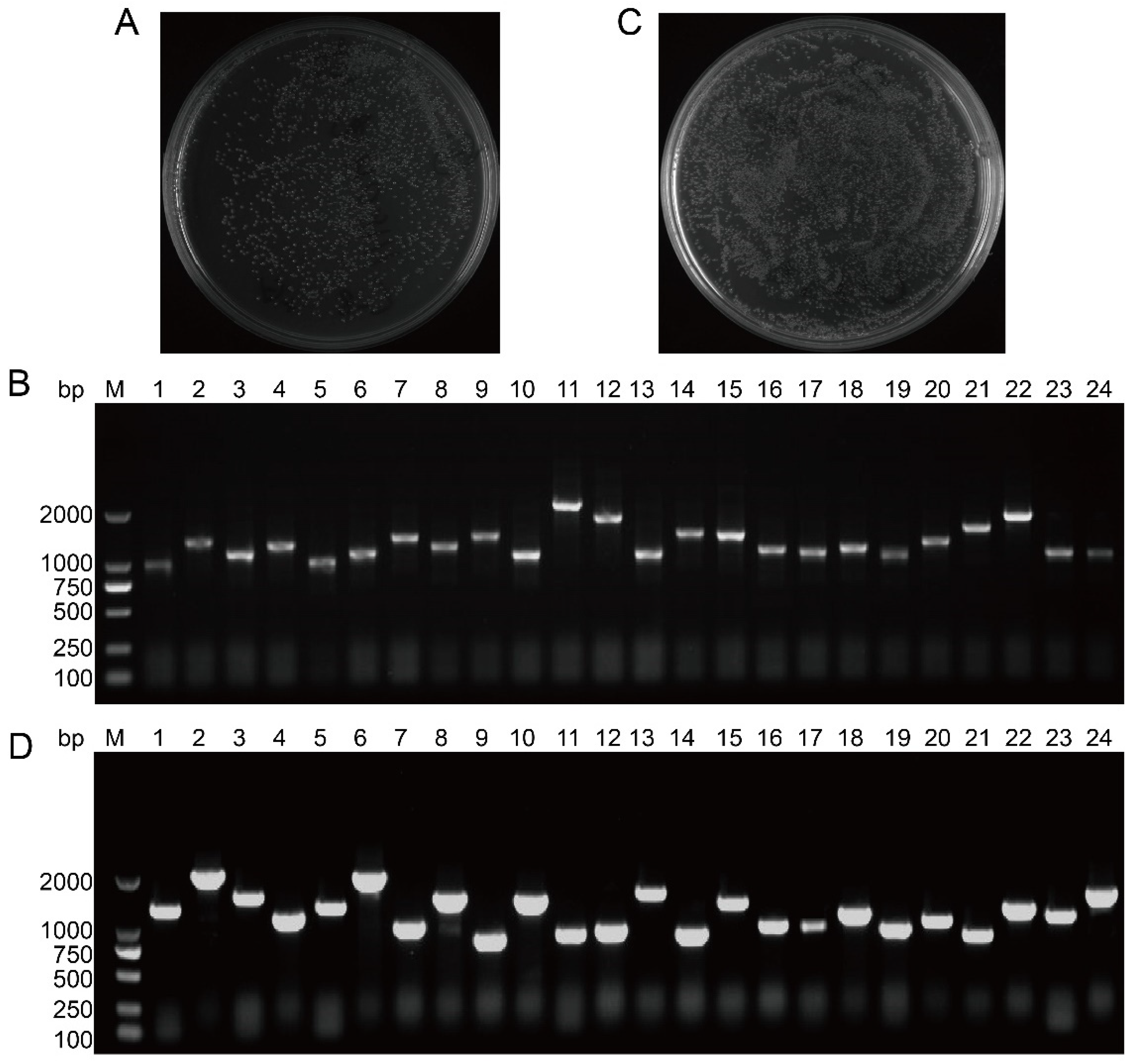 Cimb 47 00015 g002 Cimb 47 00015 g002