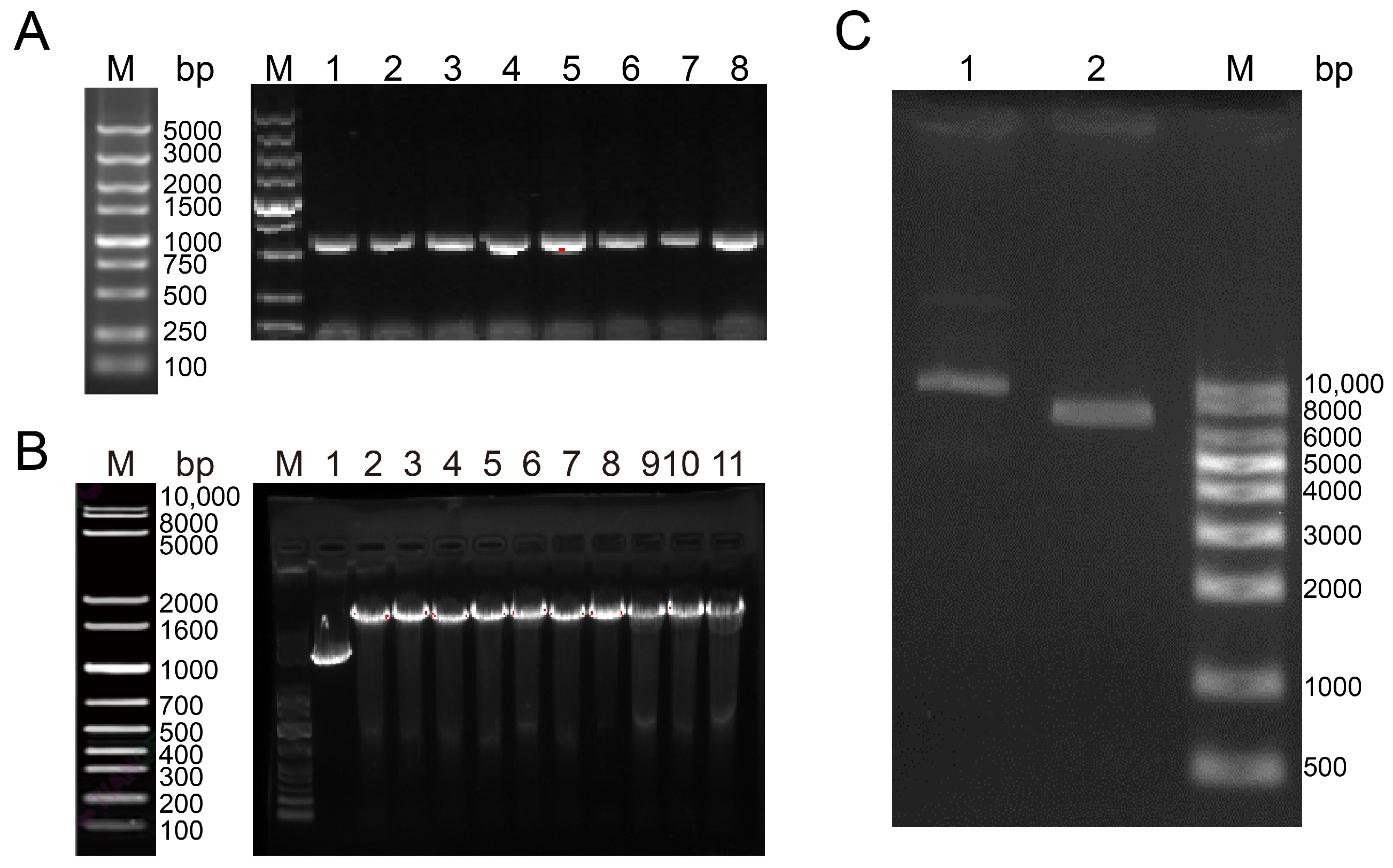 Cimb 47 00015 g003 Cimb 47 00015 g003
