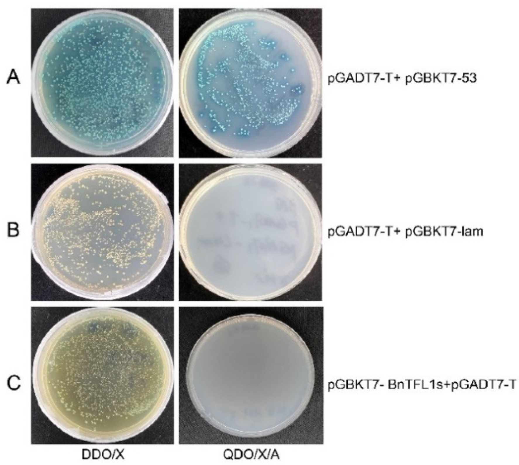 Cimb 47 00015 g004 Cimb 47 00015 g004