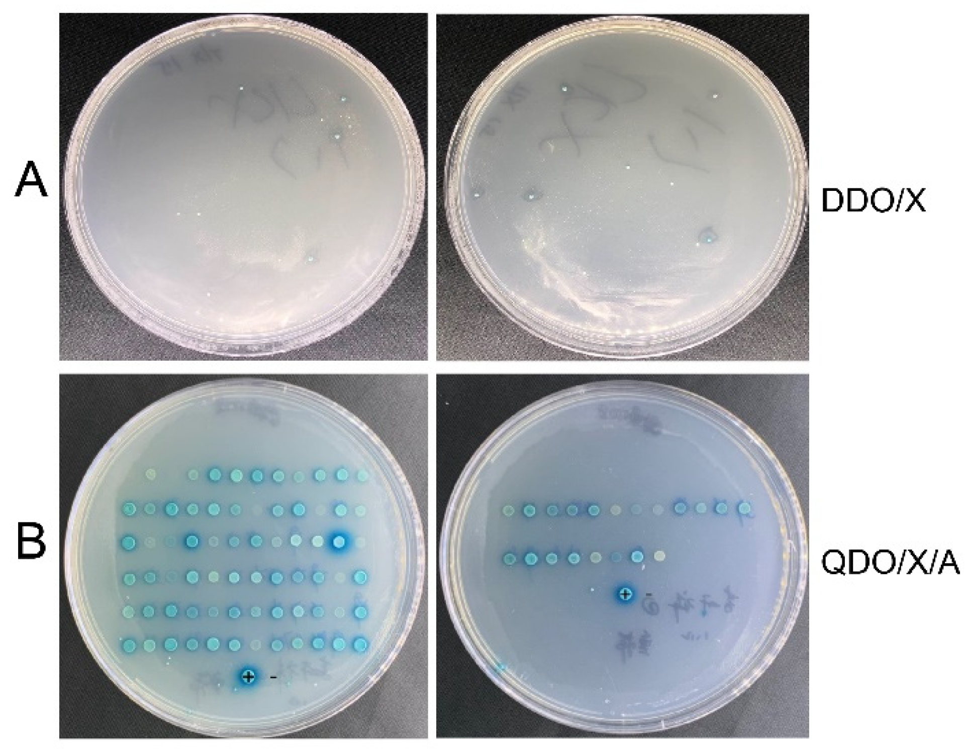 Cimb 47 00015 g005 Cimb 47 00015 g005