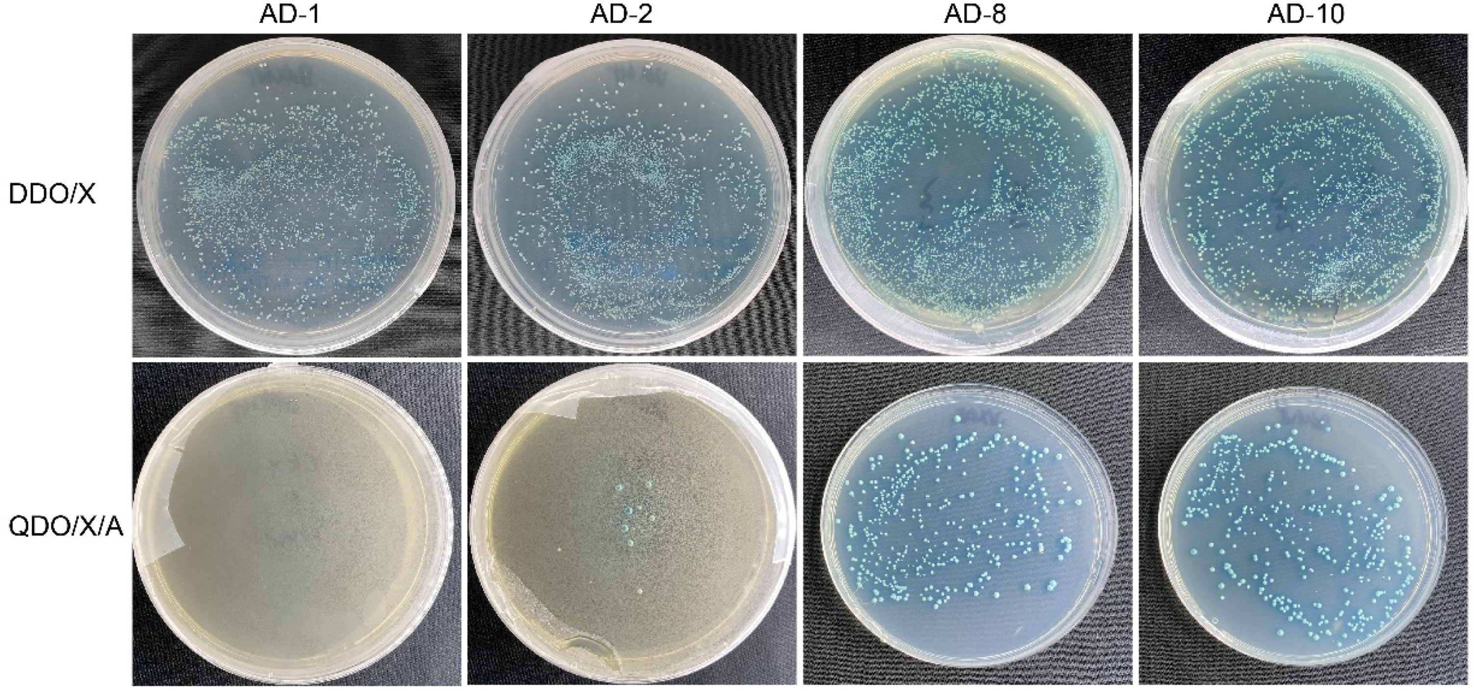 Cimb 47 00015 g006 Cimb 47 00015 g006