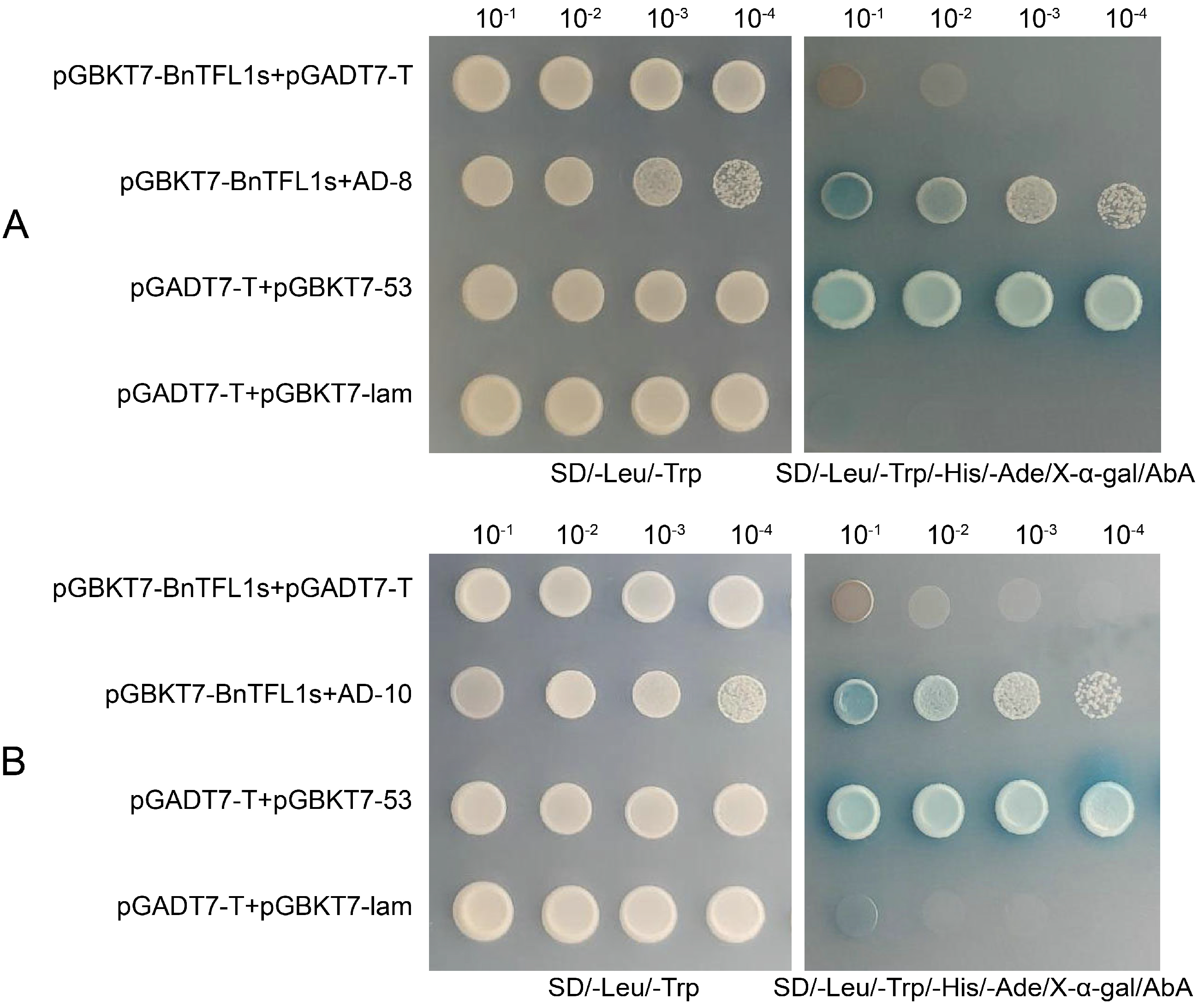 Cimb 47 00015 g007 Cimb 47 00015 g007