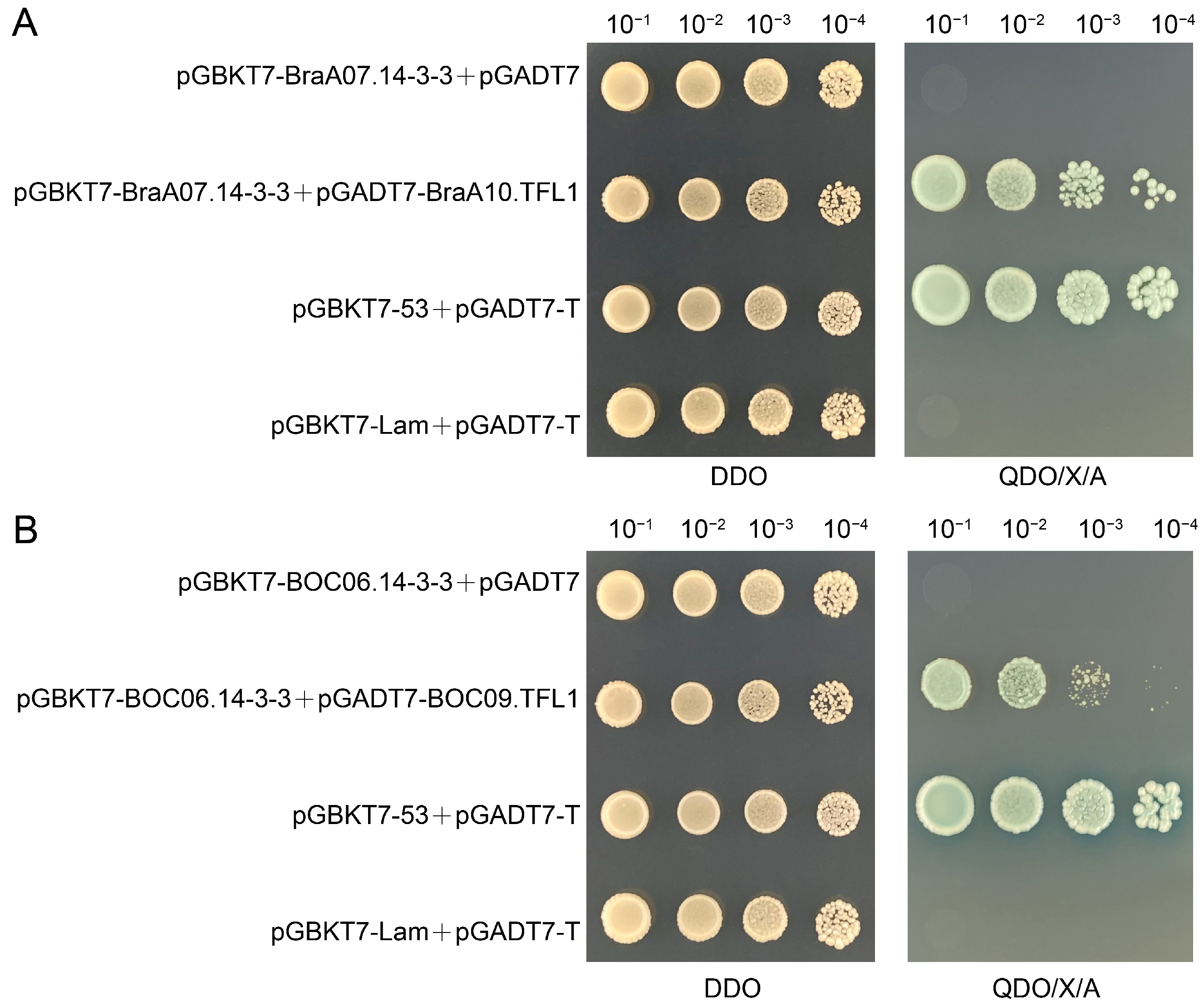 Cimb 47 00015 g008 Cimb 47 00015 g008