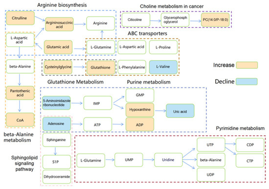 18 19 84 タナカ様 Elucidating the Mechanisms of Acquired Palbociclib