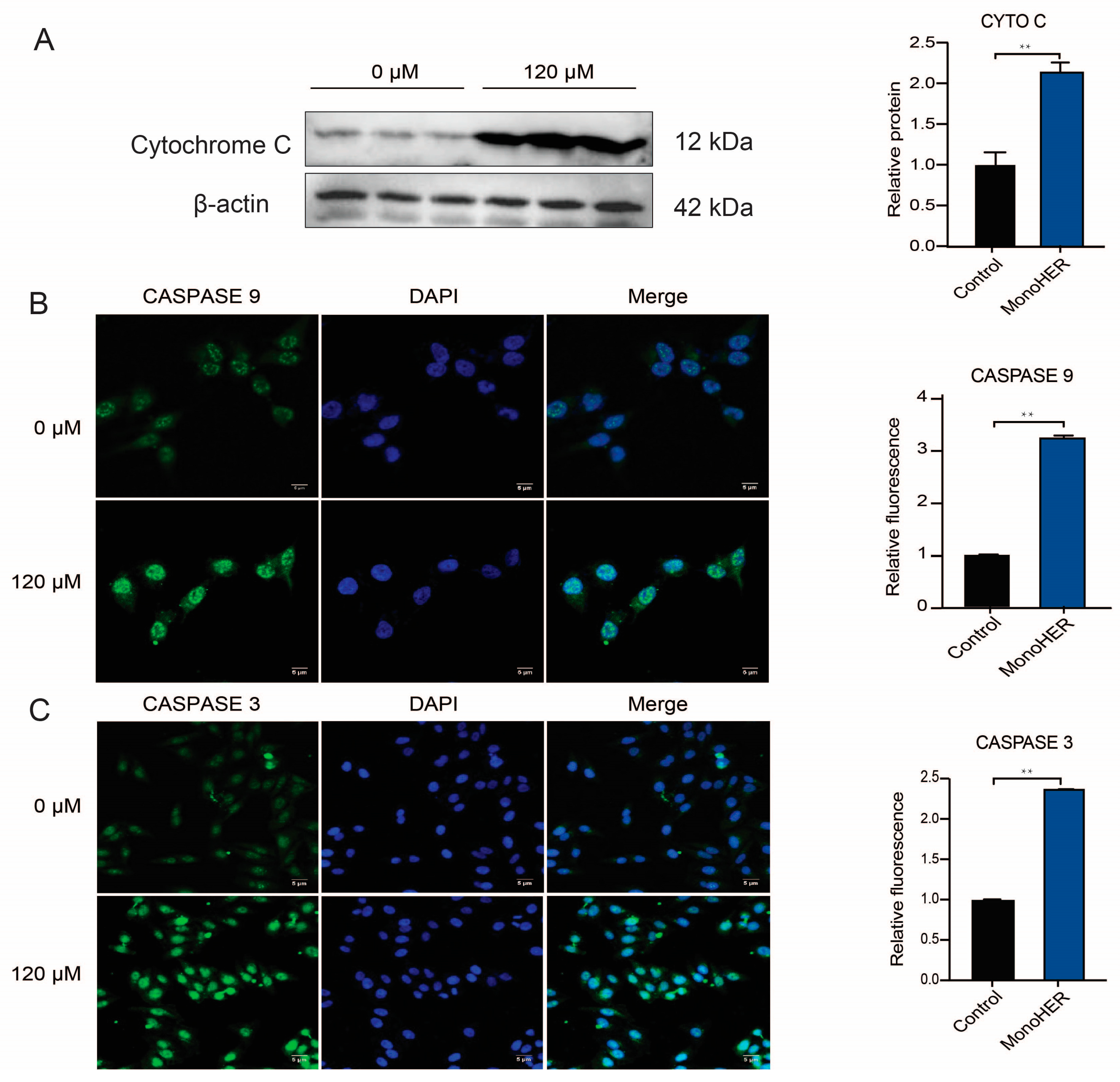 Cimb 47 00036 g003 Cimb 47 00036 g003